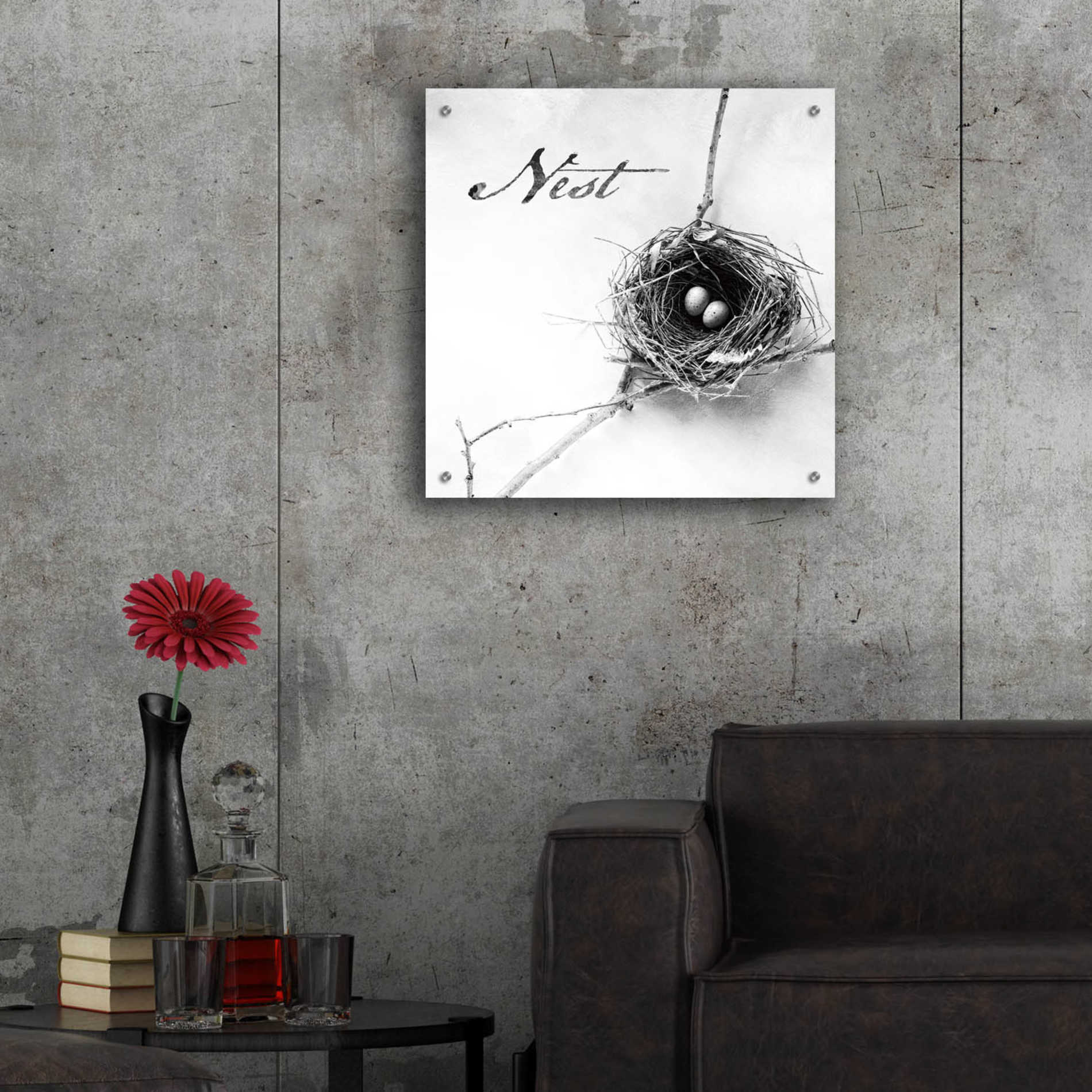 Epic Art 'Nest and Branch IV - Nest B&W' by Debra Van Swearingen, Acrylic Glass Wall Art,24x24
