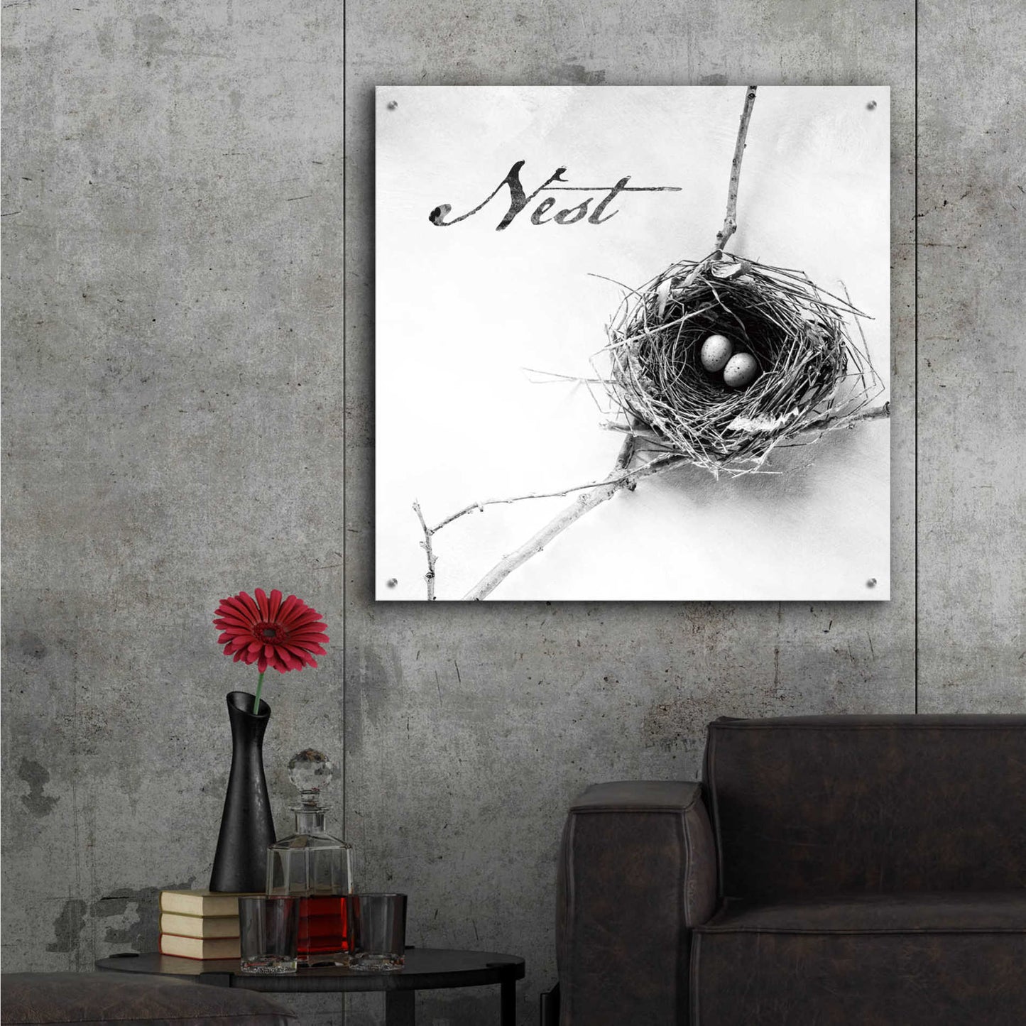 Epic Art 'Nest and Branch IV - Nest B&W' by Debra Van Swearingen, Acrylic Glass Wall Art,36x36