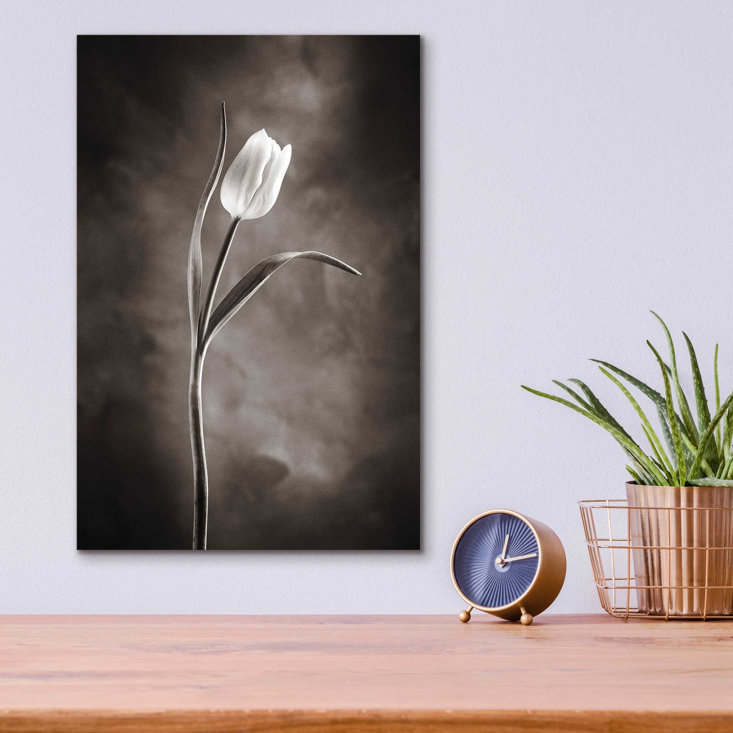 Epic Art 'Two Tone Tulips I' by Debra Van Swearingen, Acrylic Glass Wall Art,12x16