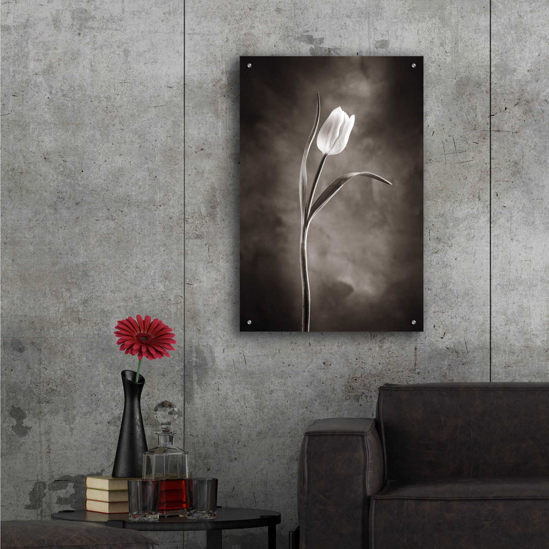 Epic Art 'Two Tone Tulips I' by Debra Van Swearingen, Acrylic Glass Wall Art,24x36