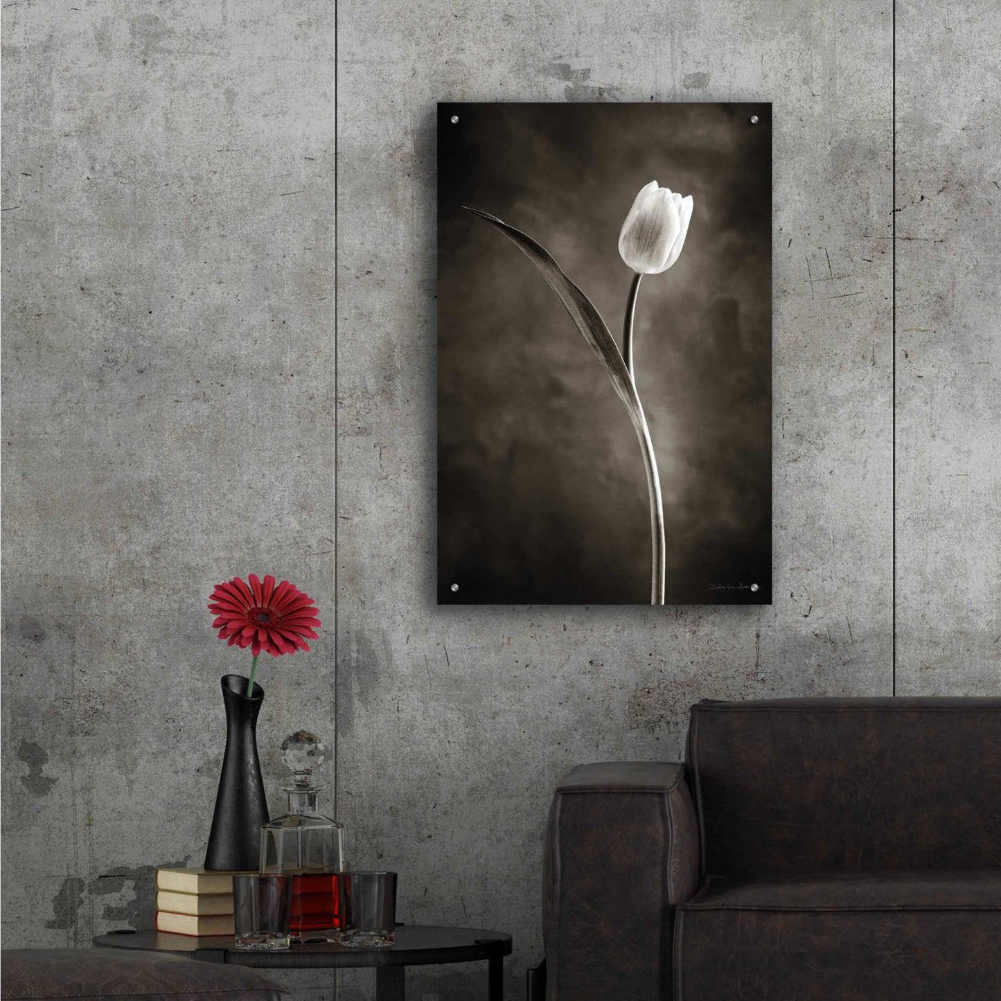 Epic Art 'Two Tone Tulips II' by Debra Van Swearingen, Acrylic Glass Wall Art,24x36