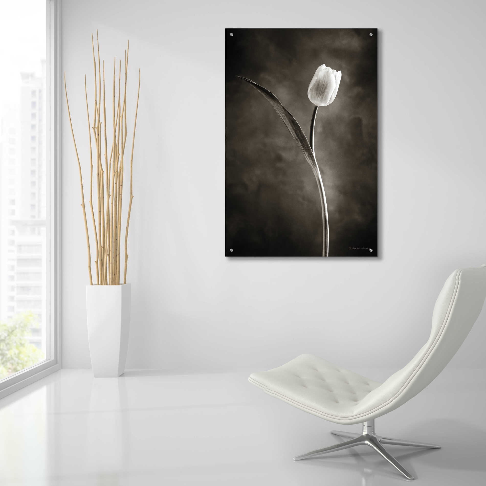 Epic Art 'Two Tone Tulips II' by Debra Van Swearingen, Acrylic Glass Wall Art,24x36