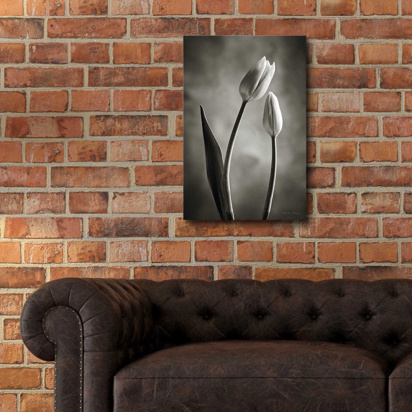 Epic Art 'Two Tone Tulips III' by Debra Van Swearingen, Acrylic Glass Wall Art,16x24