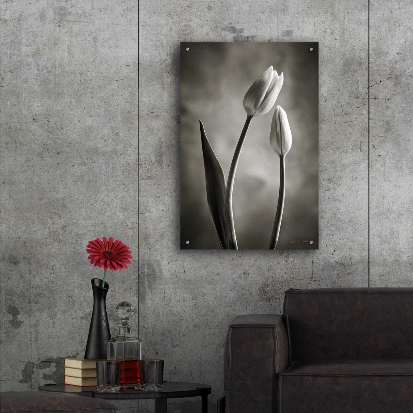 Epic Art 'Two Tone Tulips III' by Debra Van Swearingen, Acrylic Glass Wall Art,24x36