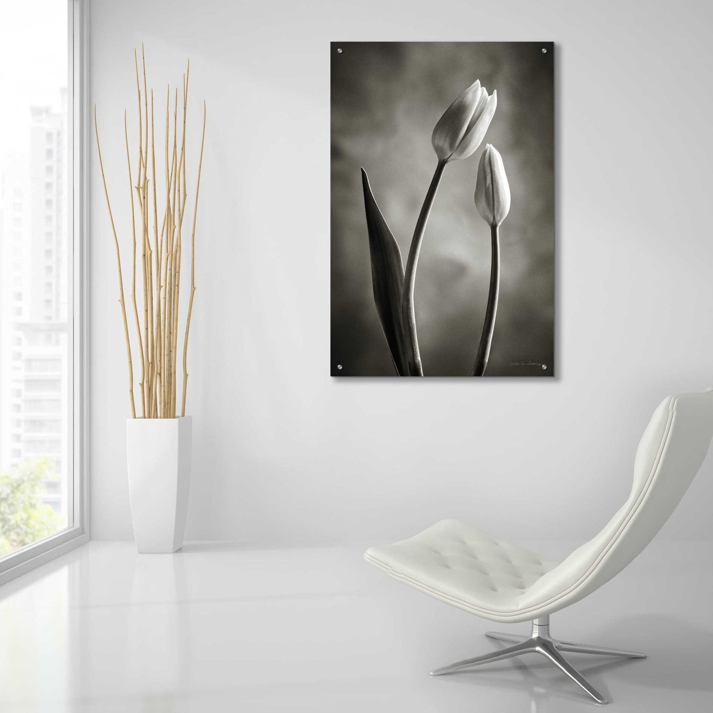 Epic Art 'Two Tone Tulips III' by Debra Van Swearingen, Acrylic Glass Wall Art,24x36