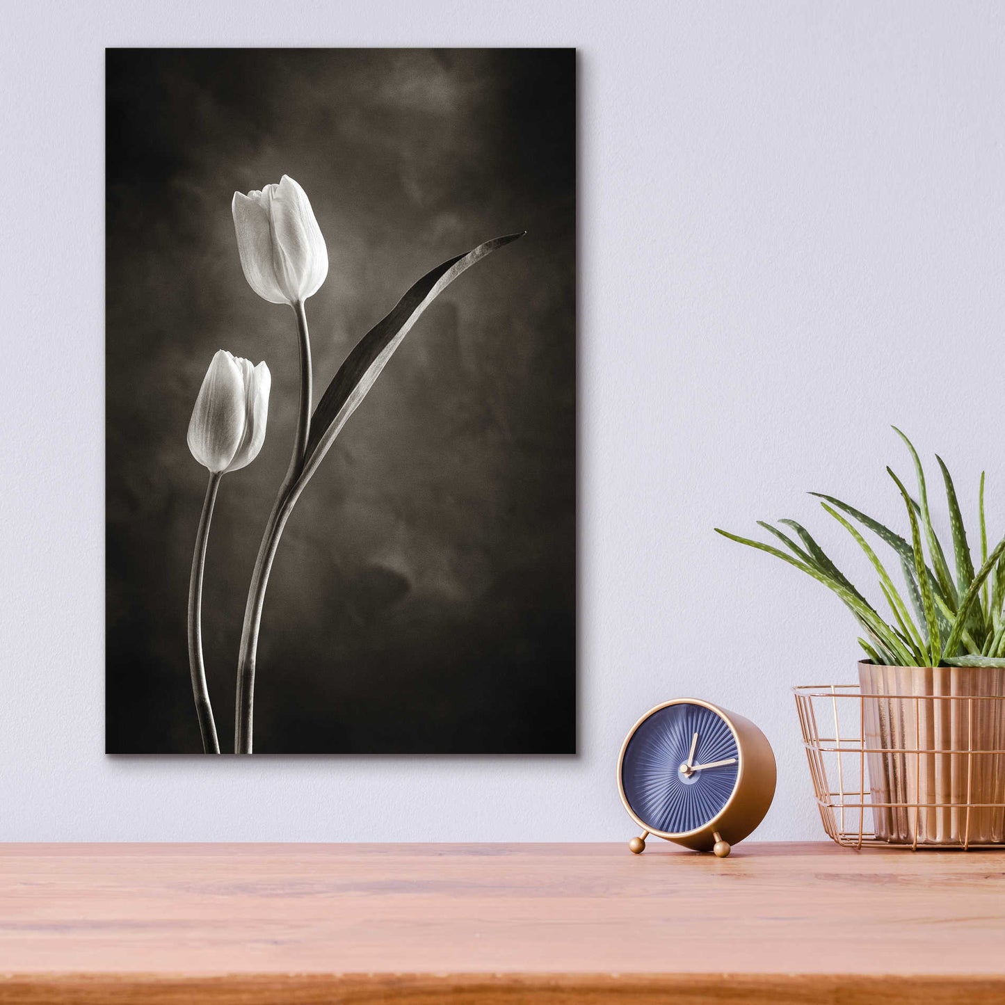 Epic Art 'Two Tone Tulips IV' by Debra Van Swearingen, Acrylic Glass Wall Art,12x16