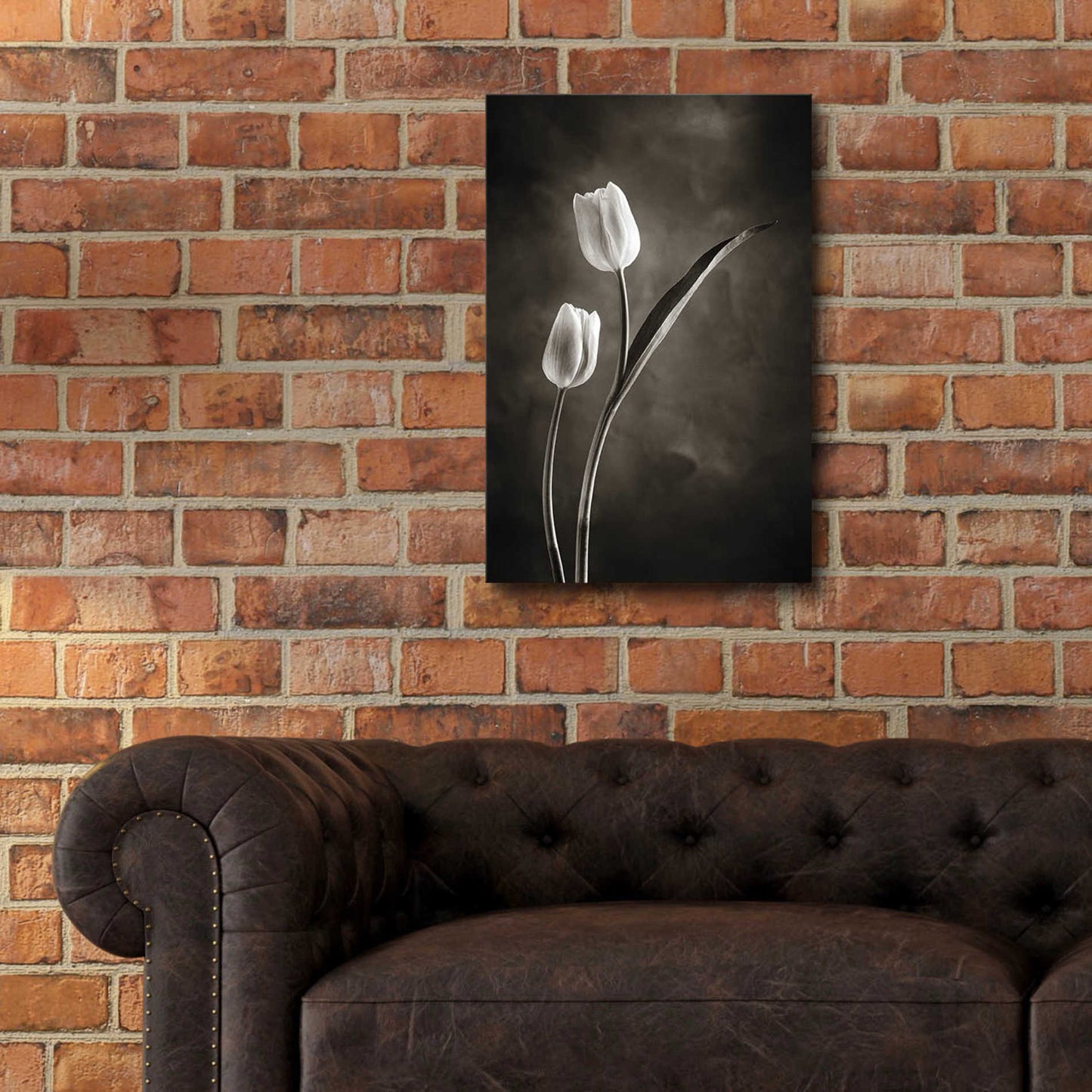 Epic Art 'Two Tone Tulips IV' by Debra Van Swearingen, Acrylic Glass Wall Art,16x24