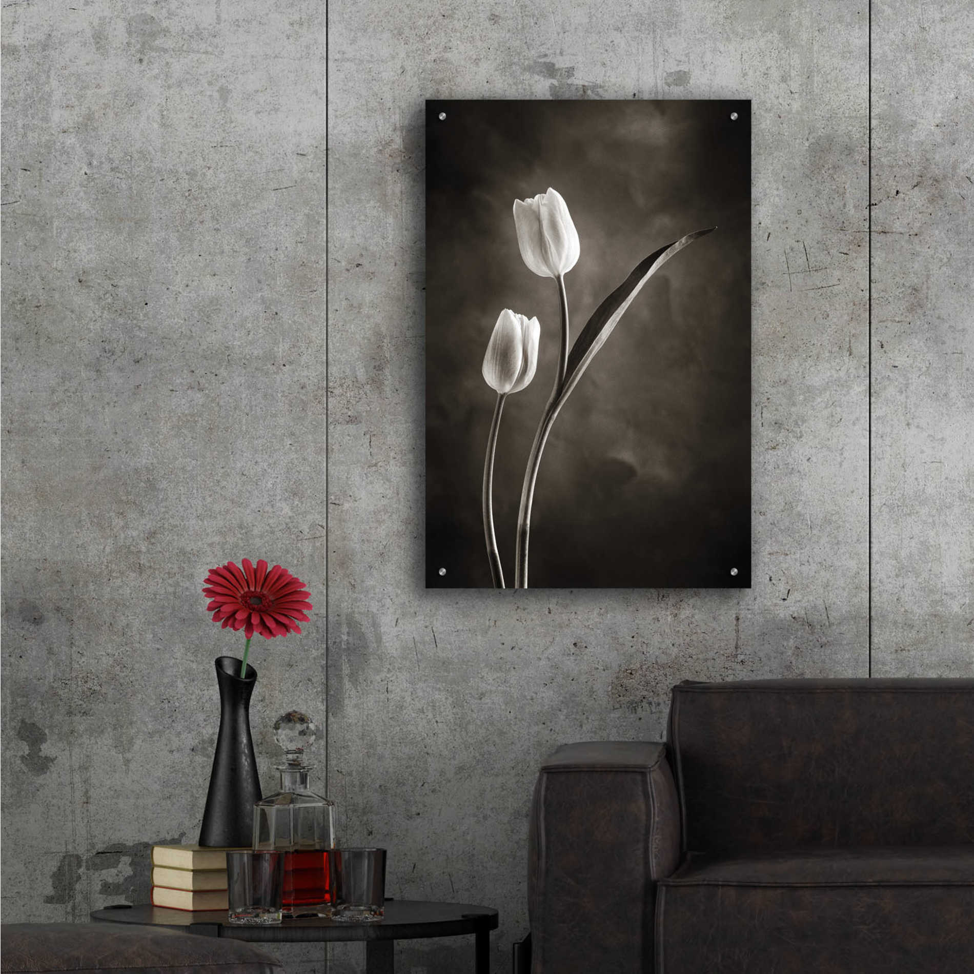 Epic Art 'Two Tone Tulips IV' by Debra Van Swearingen, Acrylic Glass Wall Art,24x36