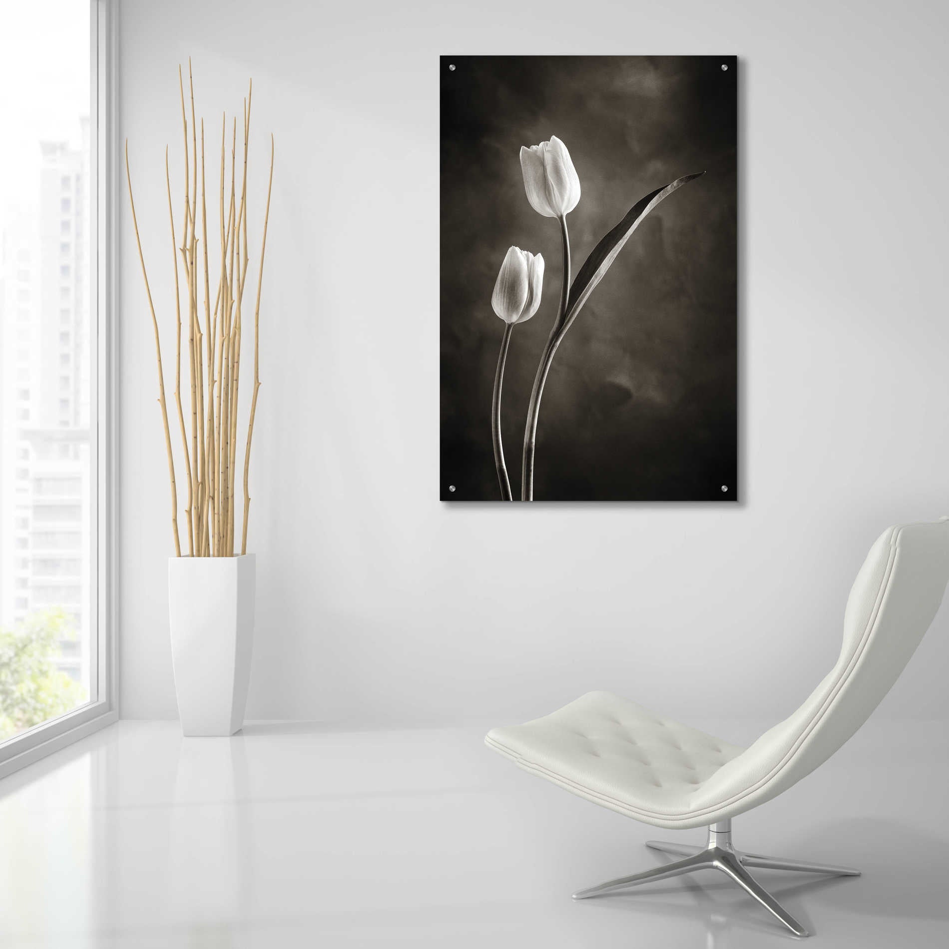 Epic Art 'Two Tone Tulips IV' by Debra Van Swearingen, Acrylic Glass Wall Art,24x36