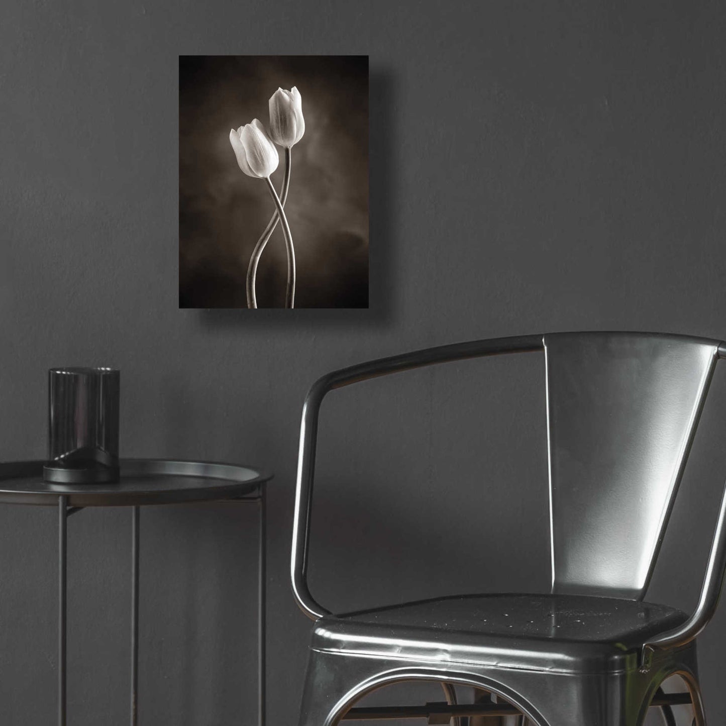 Epic Art 'Two Tone Tulips V' by Debra Van Swearingen, Acrylic Glass Wall Art,12x16