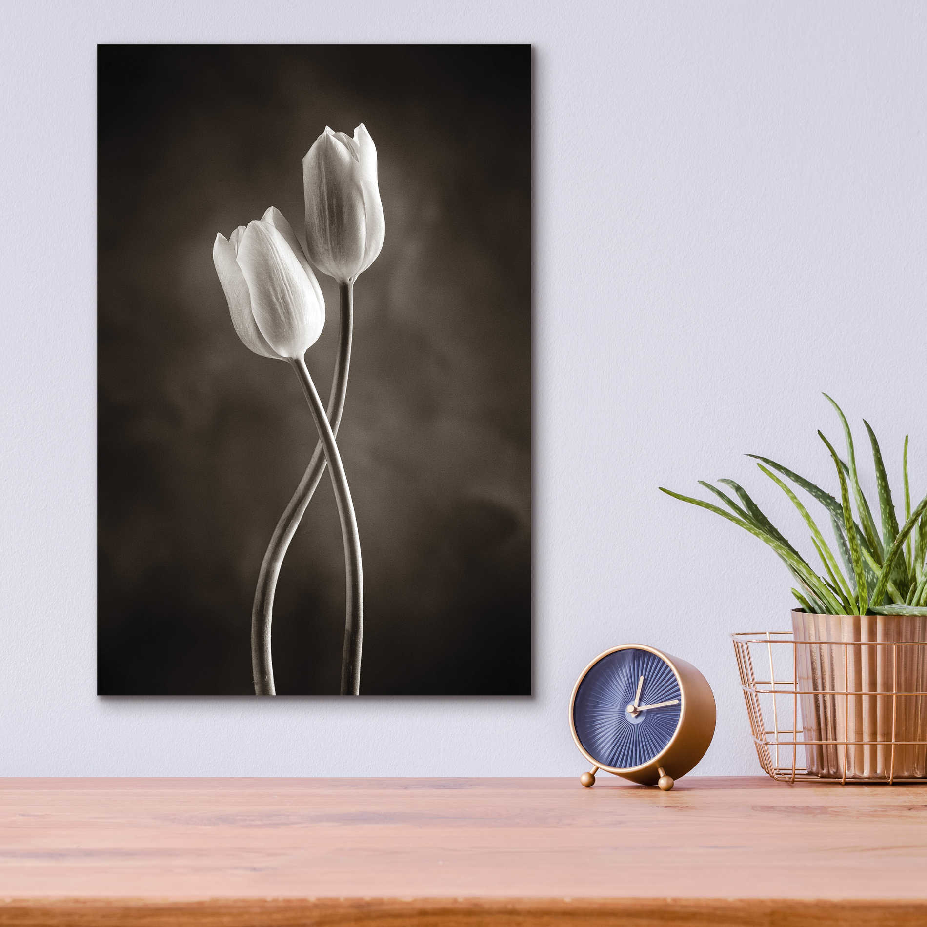 Epic Art 'Two Tone Tulips V' by Debra Van Swearingen, Acrylic Glass Wall Art,12x16