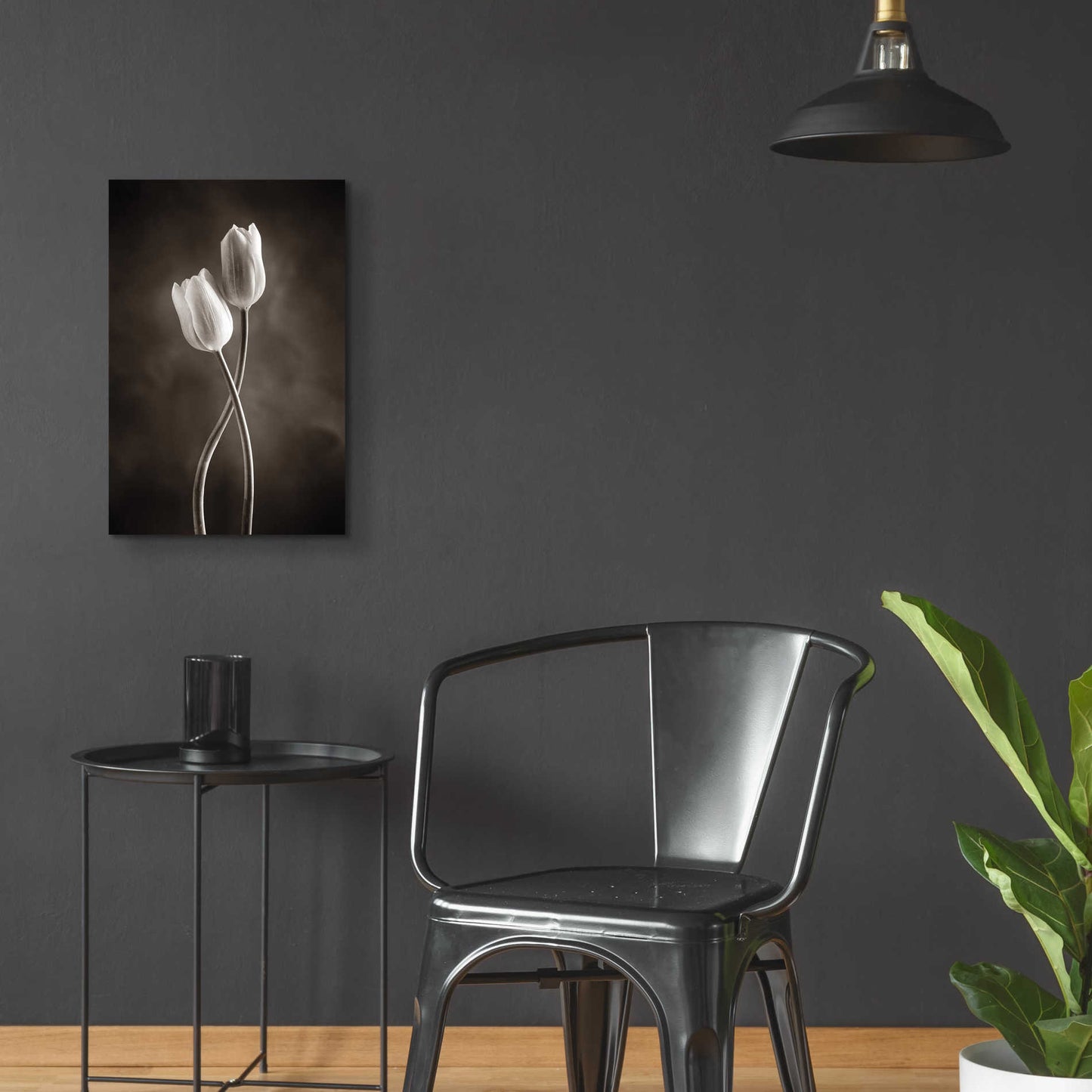 Epic Art 'Two Tone Tulips V' by Debra Van Swearingen, Acrylic Glass Wall Art,16x24