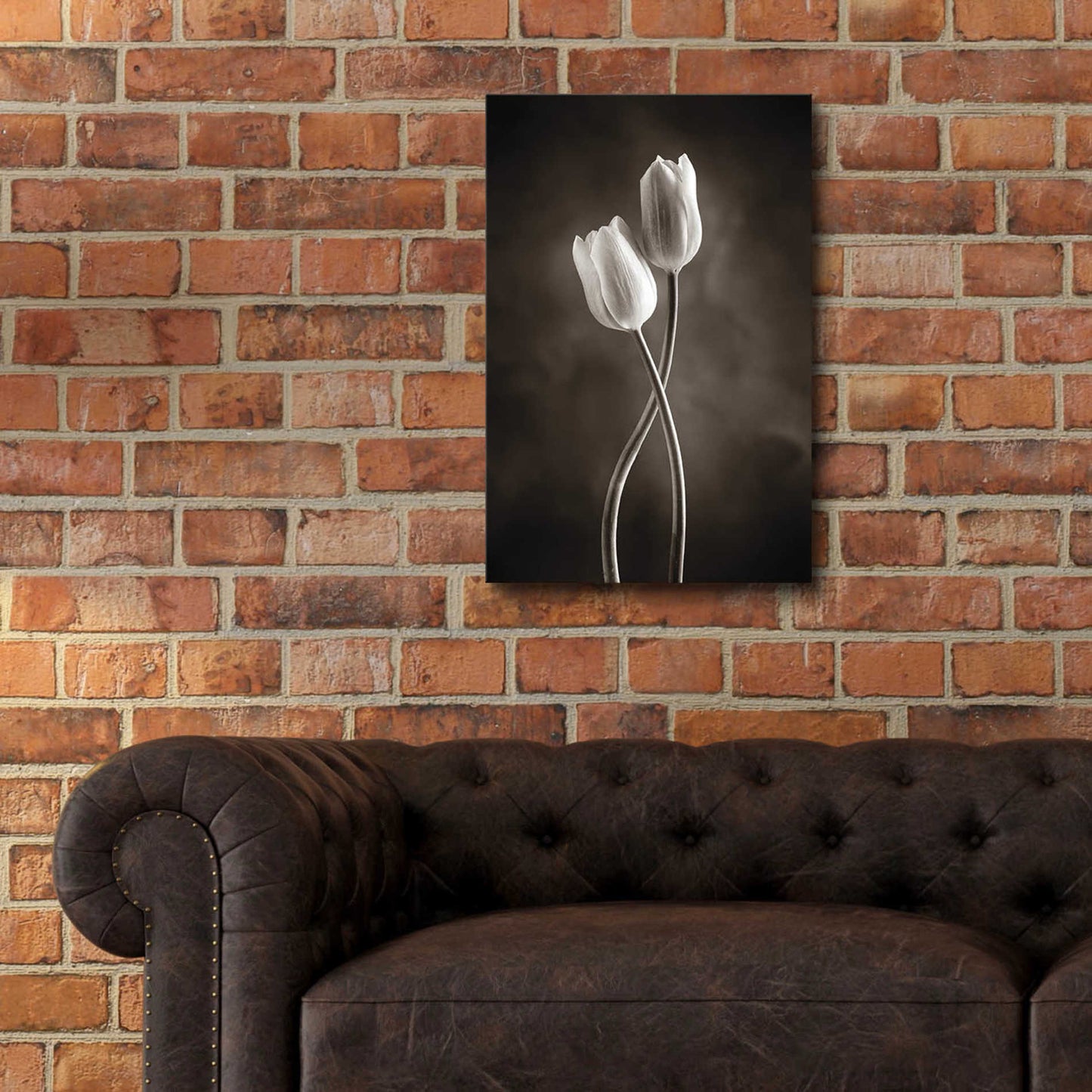 Epic Art 'Two Tone Tulips V' by Debra Van Swearingen, Acrylic Glass Wall Art,16x24