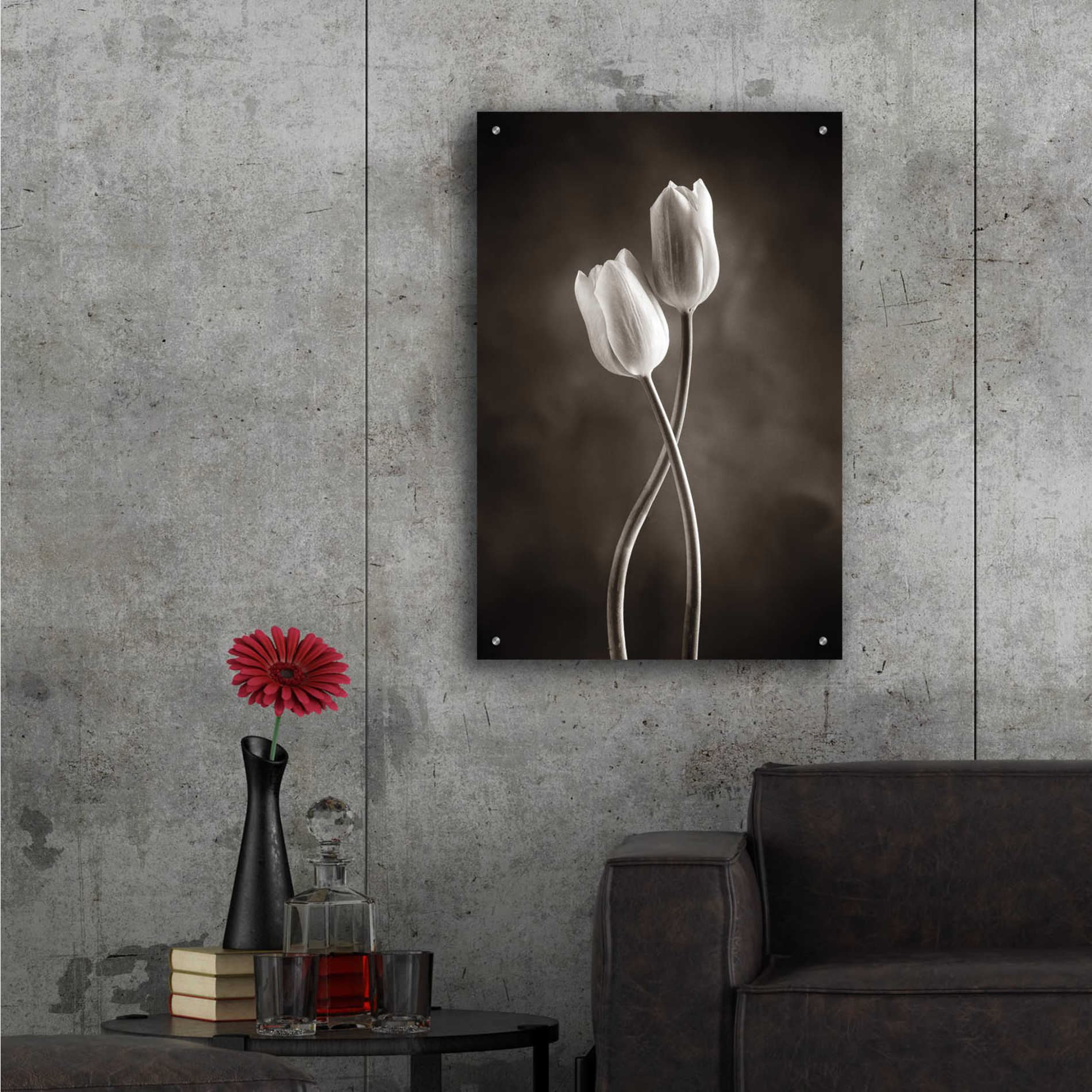 Epic Art 'Two Tone Tulips V' by Debra Van Swearingen, Acrylic Glass Wall Art,24x36