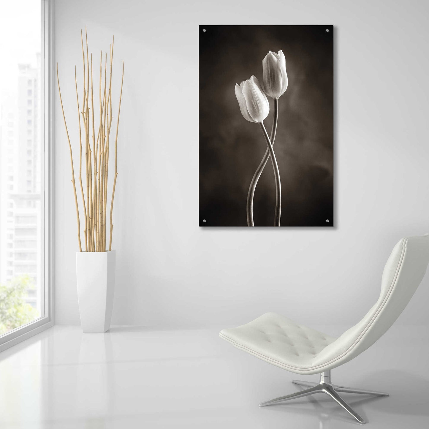 Epic Art 'Two Tone Tulips V' by Debra Van Swearingen, Acrylic Glass Wall Art,24x36