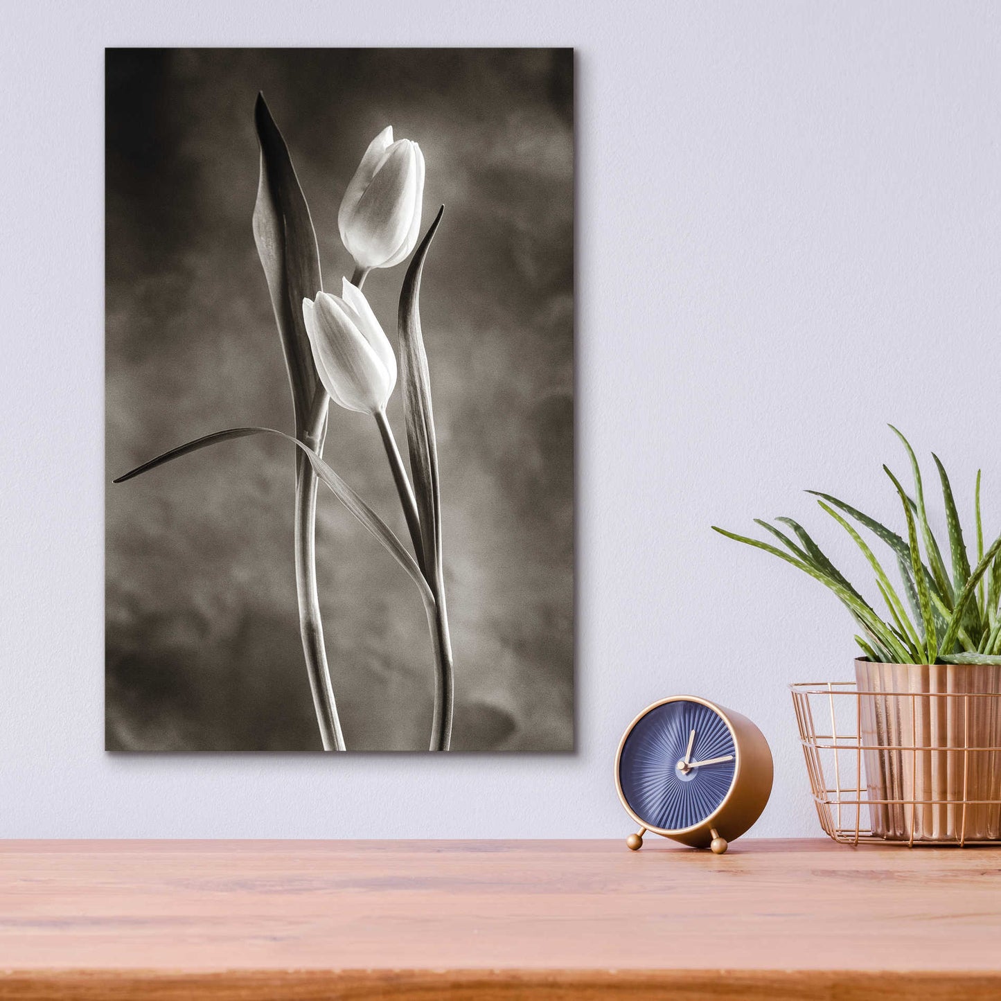 Epic Art 'Two Tone Tulips VI' by Debra Van Swearingen, Acrylic Glass Wall Art,12x16