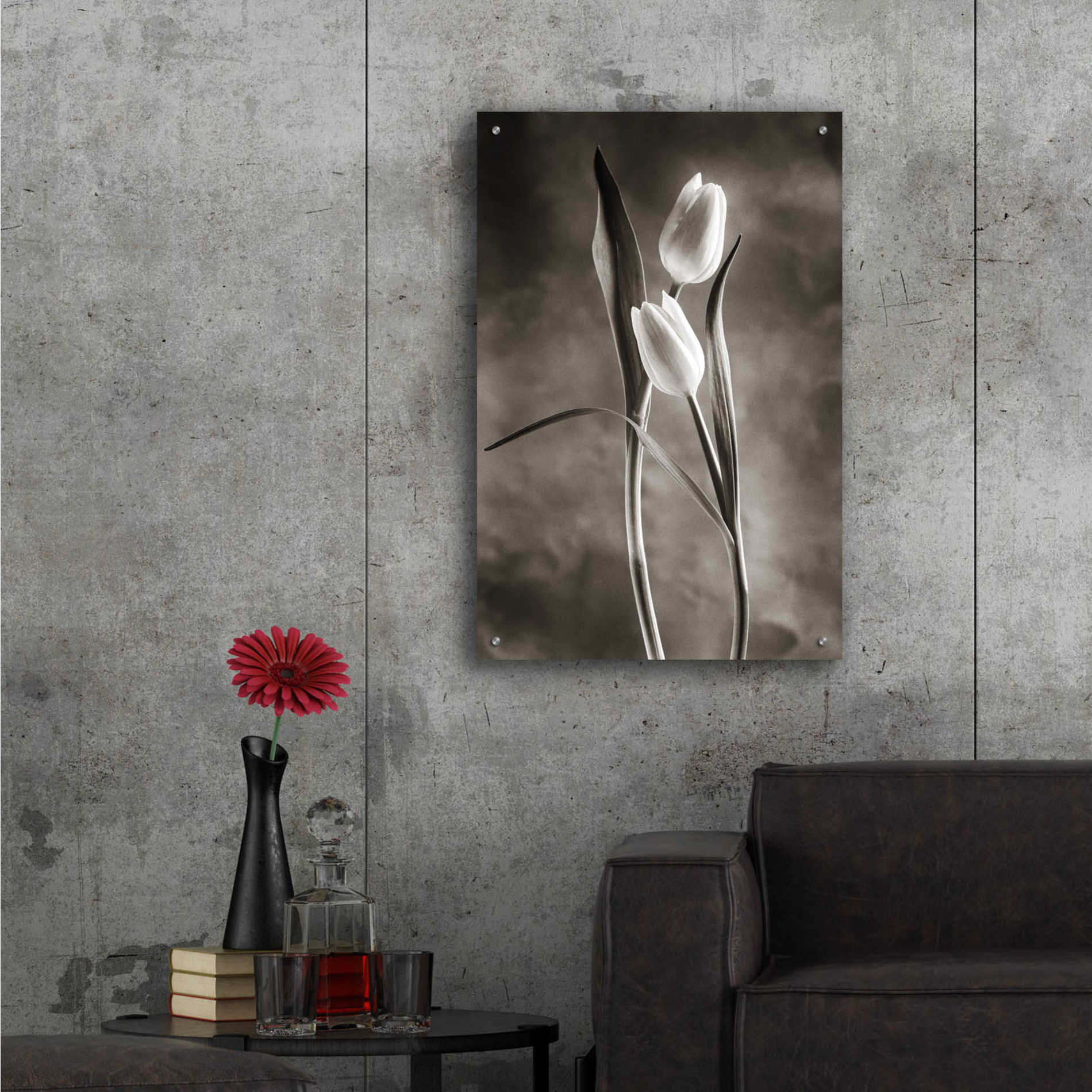 Epic Art 'Two Tone Tulips VI' by Debra Van Swearingen, Acrylic Glass Wall Art,24x36