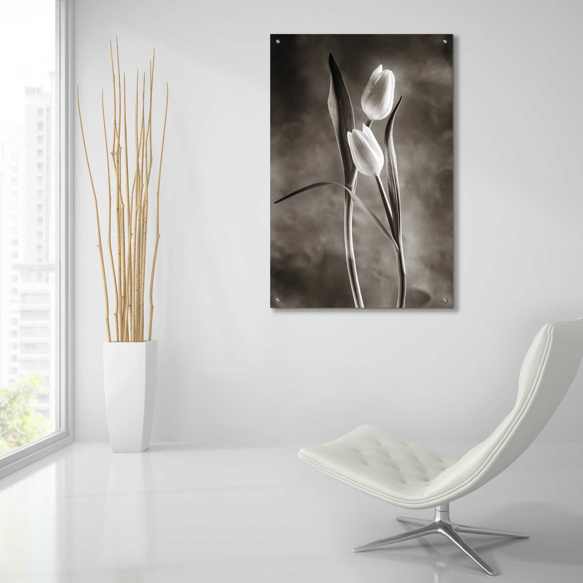 Epic Art 'Two Tone Tulips VI' by Debra Van Swearingen, Acrylic Glass Wall Art,24x36