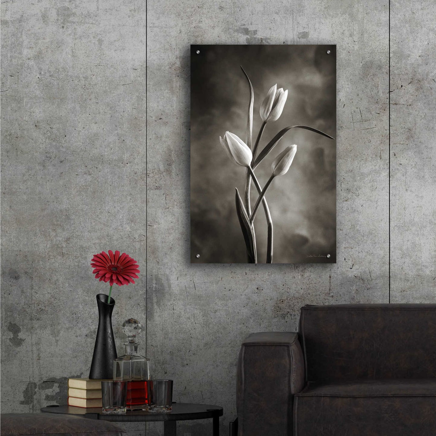 Epic Art 'Two Tone Tulips VII' by Debra Van Swearingen, Acrylic Glass Wall Art,24x36