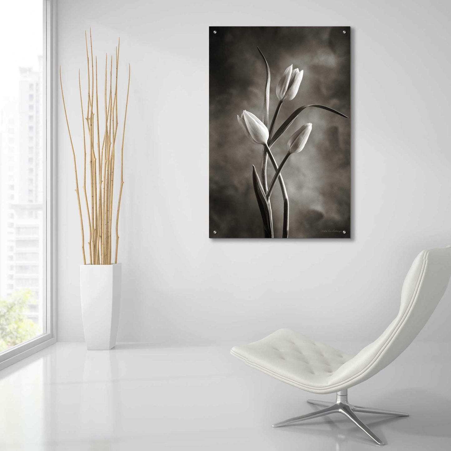 Epic Art 'Two Tone Tulips VII' by Debra Van Swearingen, Acrylic Glass Wall Art,24x36