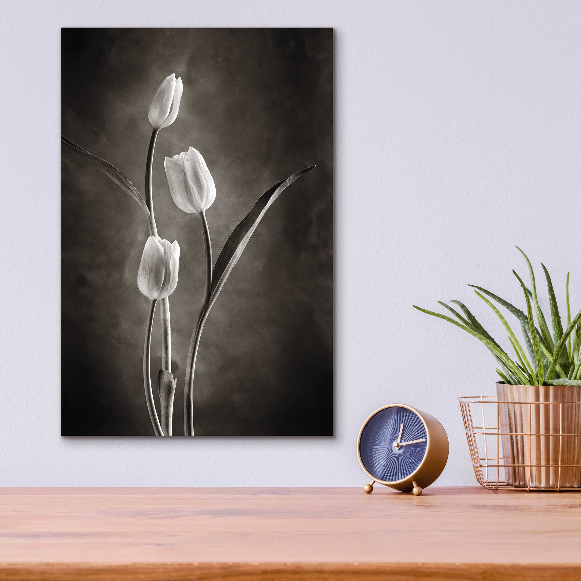 Epic Art 'Two Tone Tulips VIII' by Debra Van Swearingen, Acrylic Glass Wall Art,12x16