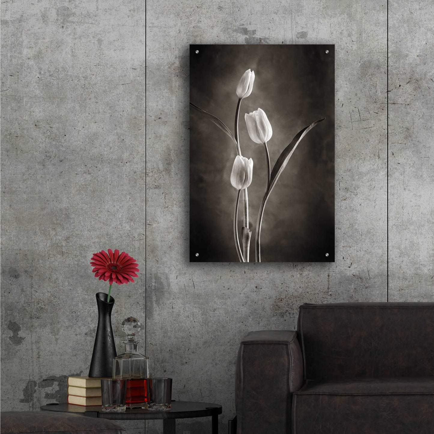 Epic Art 'Two Tone Tulips VIII' by Debra Van Swearingen, Acrylic Glass Wall Art,24x36