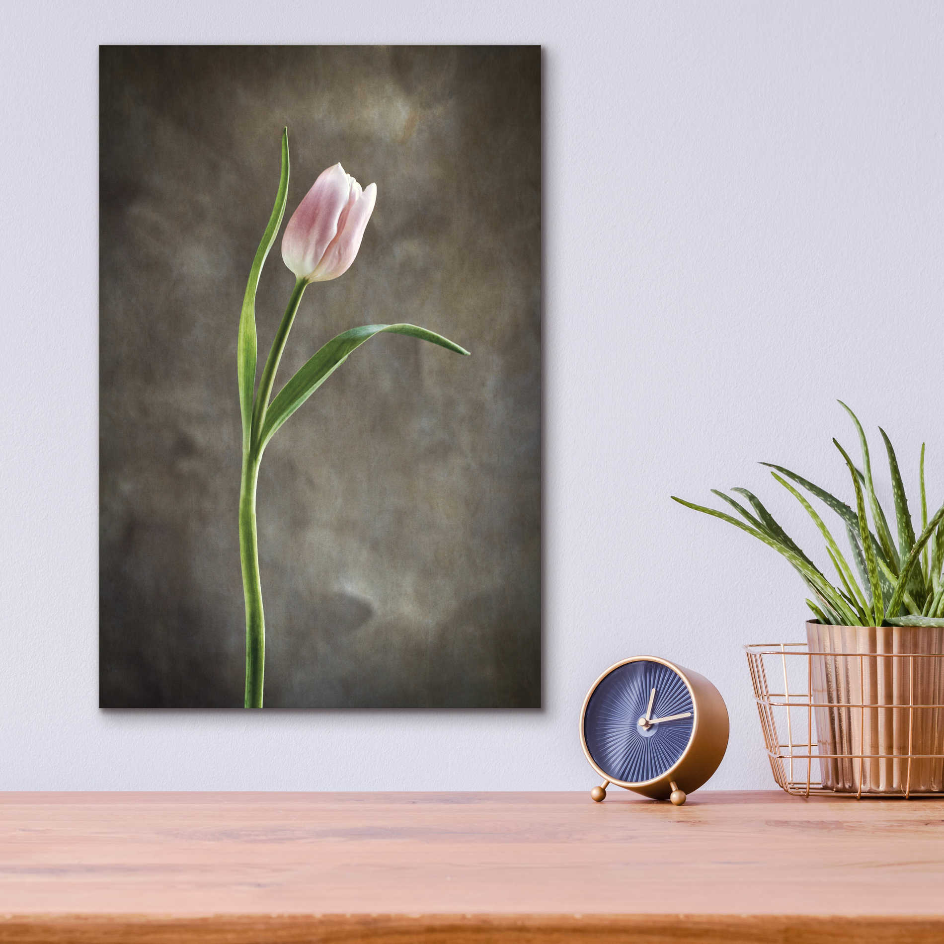 Epic Art 'Spring Tulips I' by Debra Van Swearingen, Acrylic Glass Wall Art,12x16