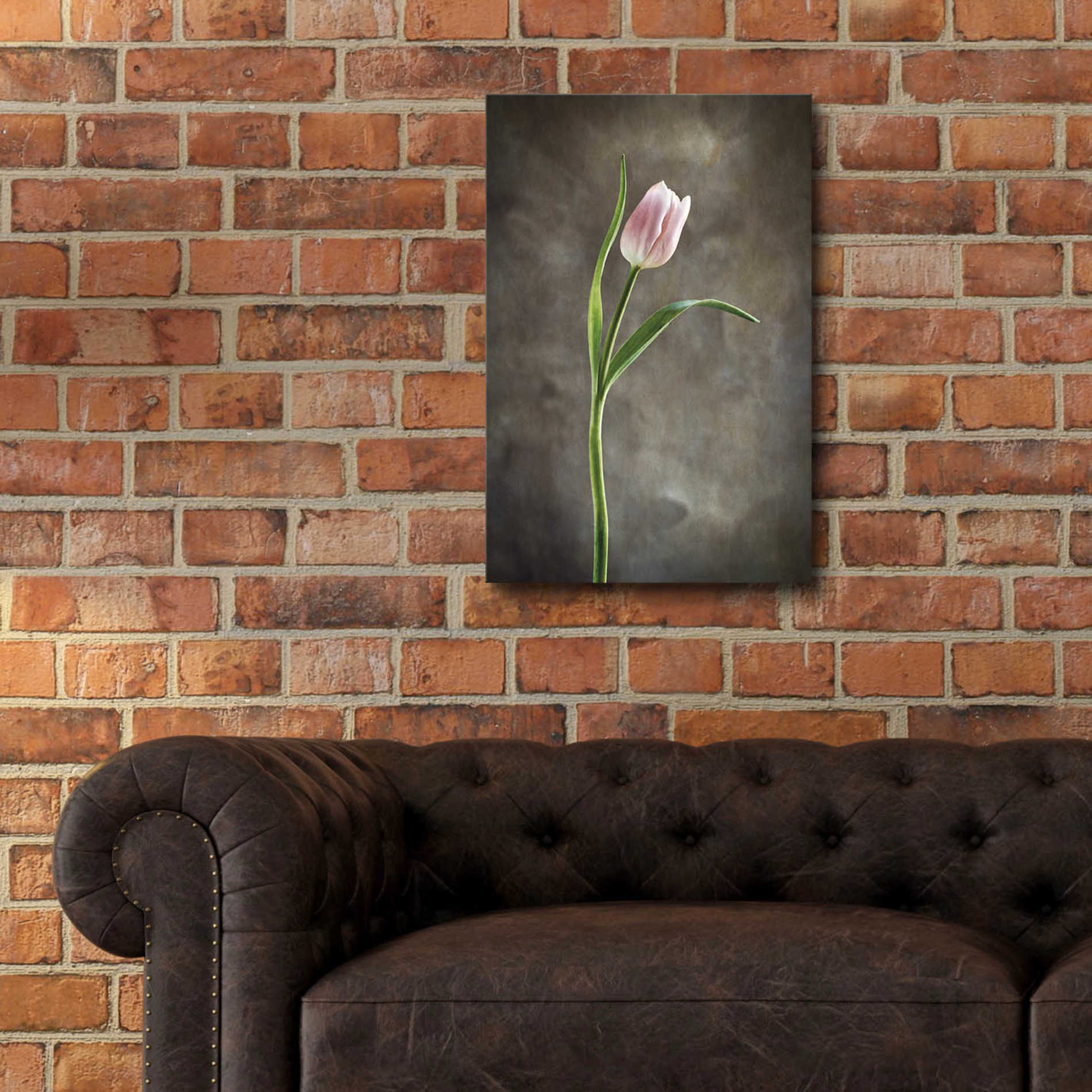 Epic Art 'Spring Tulips I' by Debra Van Swearingen, Acrylic Glass Wall Art,16x24