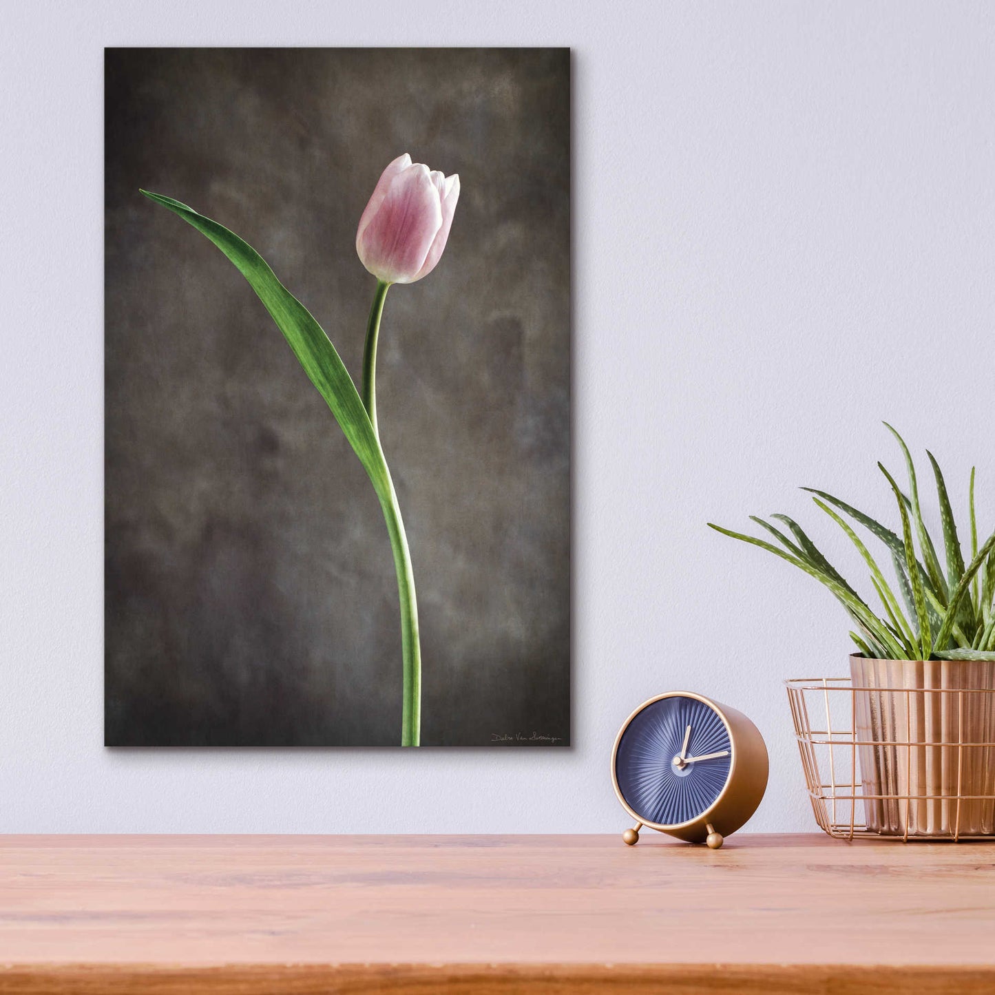 Epic Art 'Spring Tulips II' by Debra Van Swearingen, Acrylic Glass Wall Art,12x16
