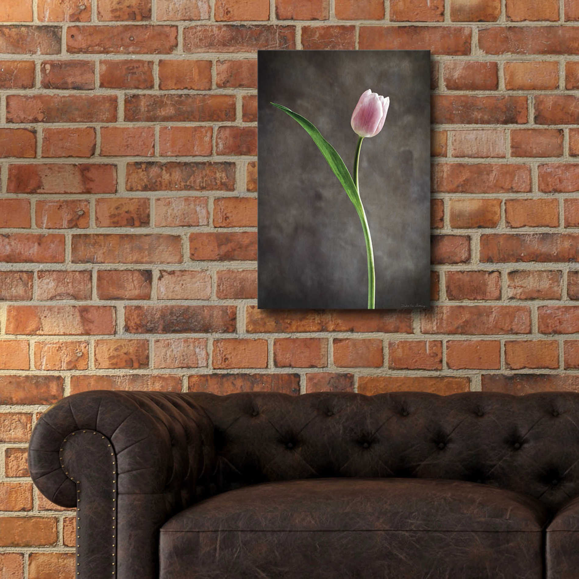 Epic Art 'Spring Tulips II' by Debra Van Swearingen, Acrylic Glass Wall Art,16x24