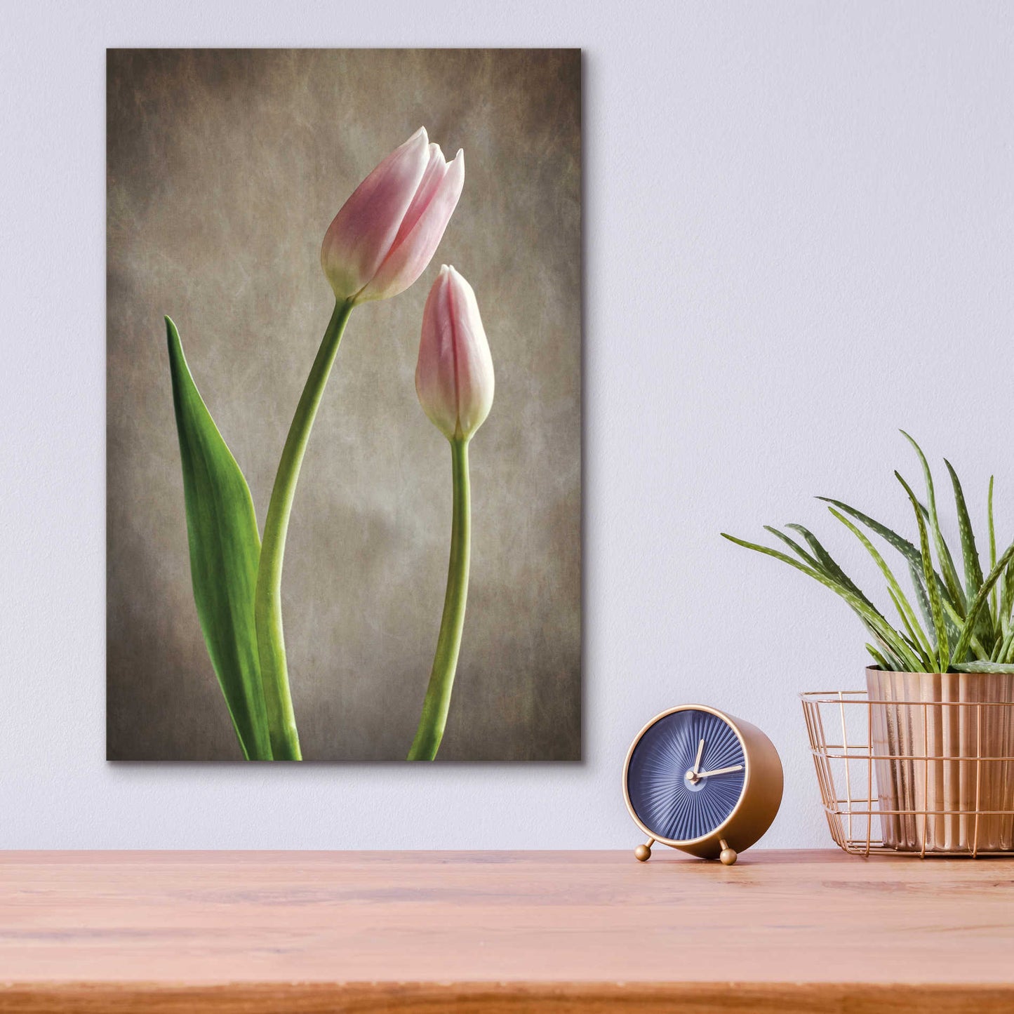 Epic Art 'Spring Tulips III' by Debra Van Swearingen, Acrylic Glass Wall Art,12x16