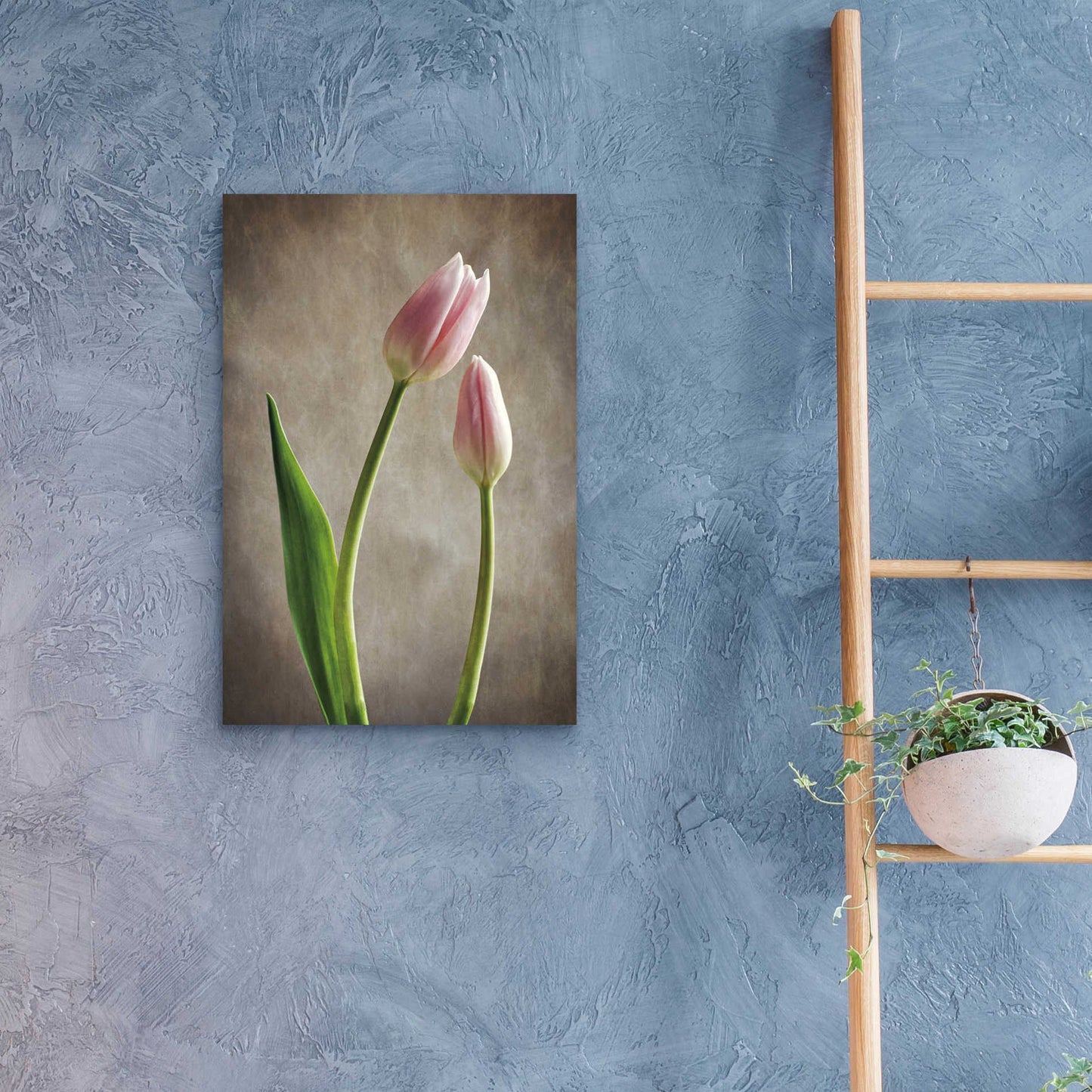 Epic Art 'Spring Tulips III' by Debra Van Swearingen, Acrylic Glass Wall Art,16x24