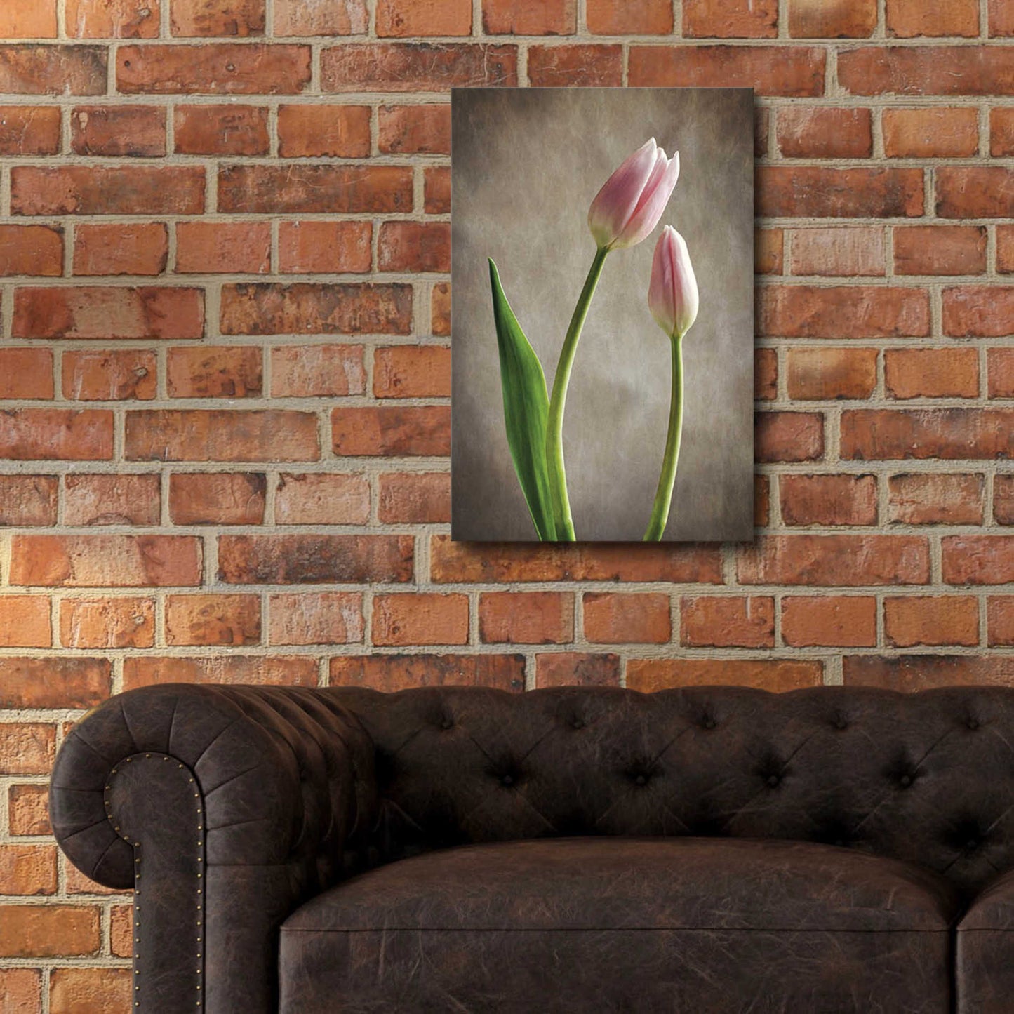 Epic Art 'Spring Tulips III' by Debra Van Swearingen, Acrylic Glass Wall Art,16x24