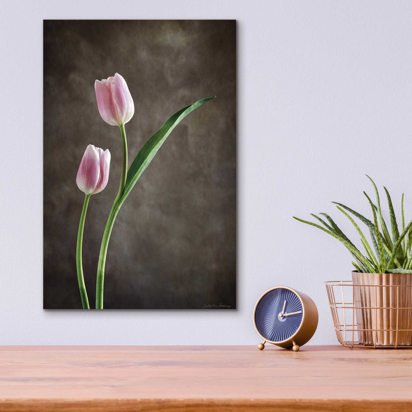 Epic Art 'Spring Tulips IV' by Debra Van Swearingen, Acrylic Glass Wall Art,12x16