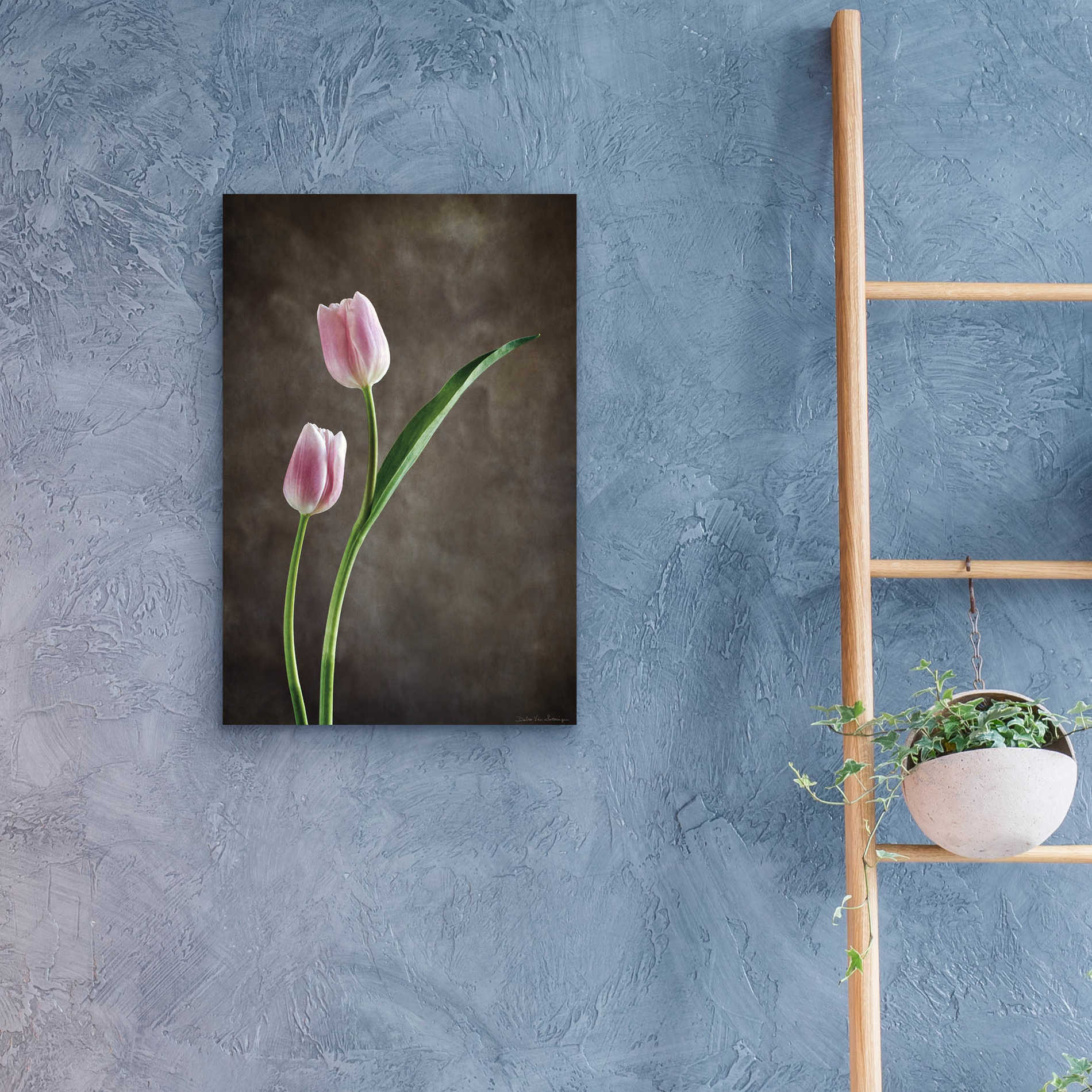Epic Art 'Spring Tulips IV' by Debra Van Swearingen, Acrylic Glass Wall Art,16x24