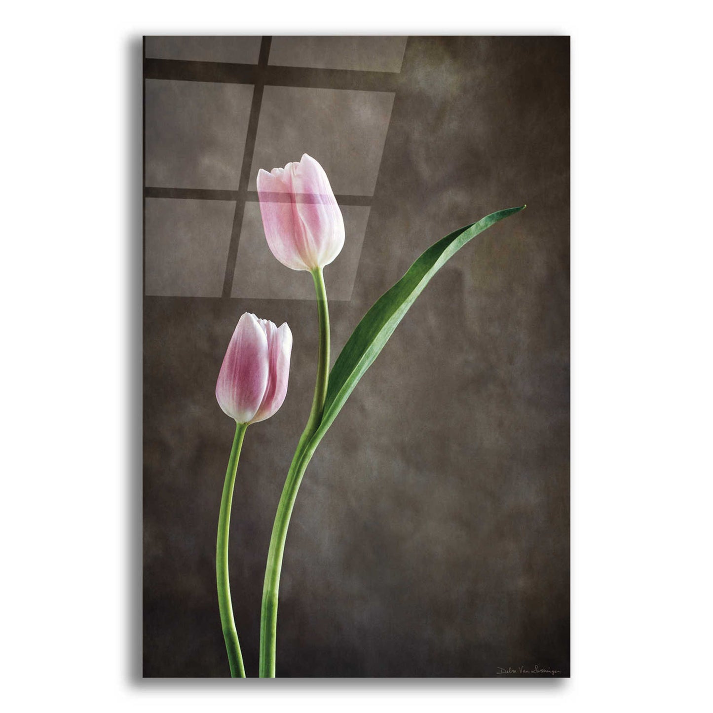 Epic Art 'Spring Tulips IV' by Debra Van Swearingen, Acrylic Glass Wall Art,12x18x1.1x0,18x26x1.1x0,26x40x1.74x0,40x60x1.74x0
