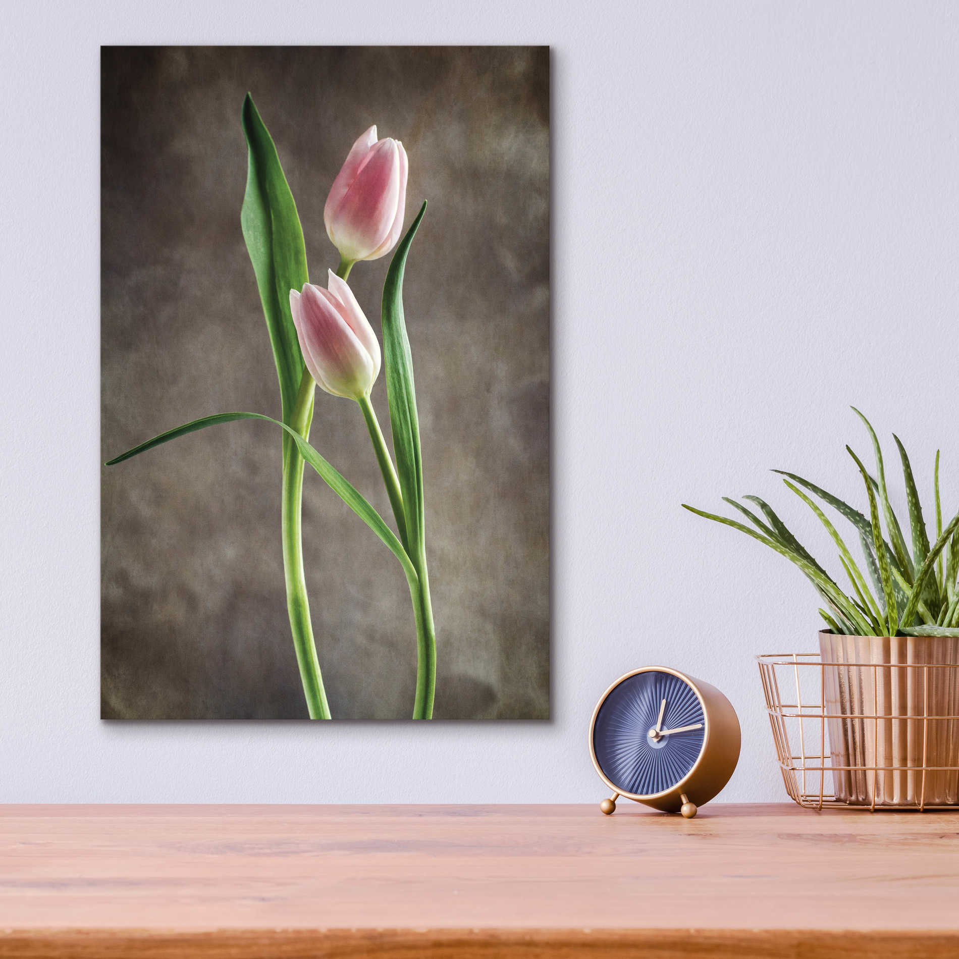 Epic Art 'Spring Tulips VI' by Debra Van Swearingen, Acrylic Glass Wall Art,12x16
