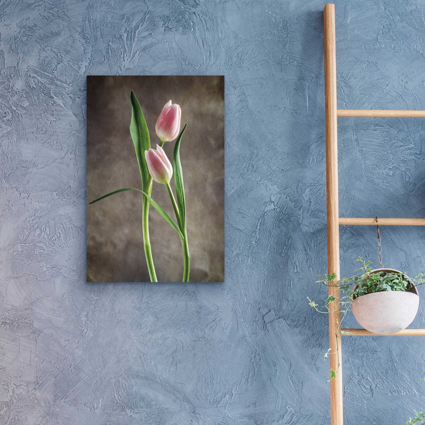 Epic Art 'Spring Tulips VI' by Debra Van Swearingen, Acrylic Glass Wall Art,16x24