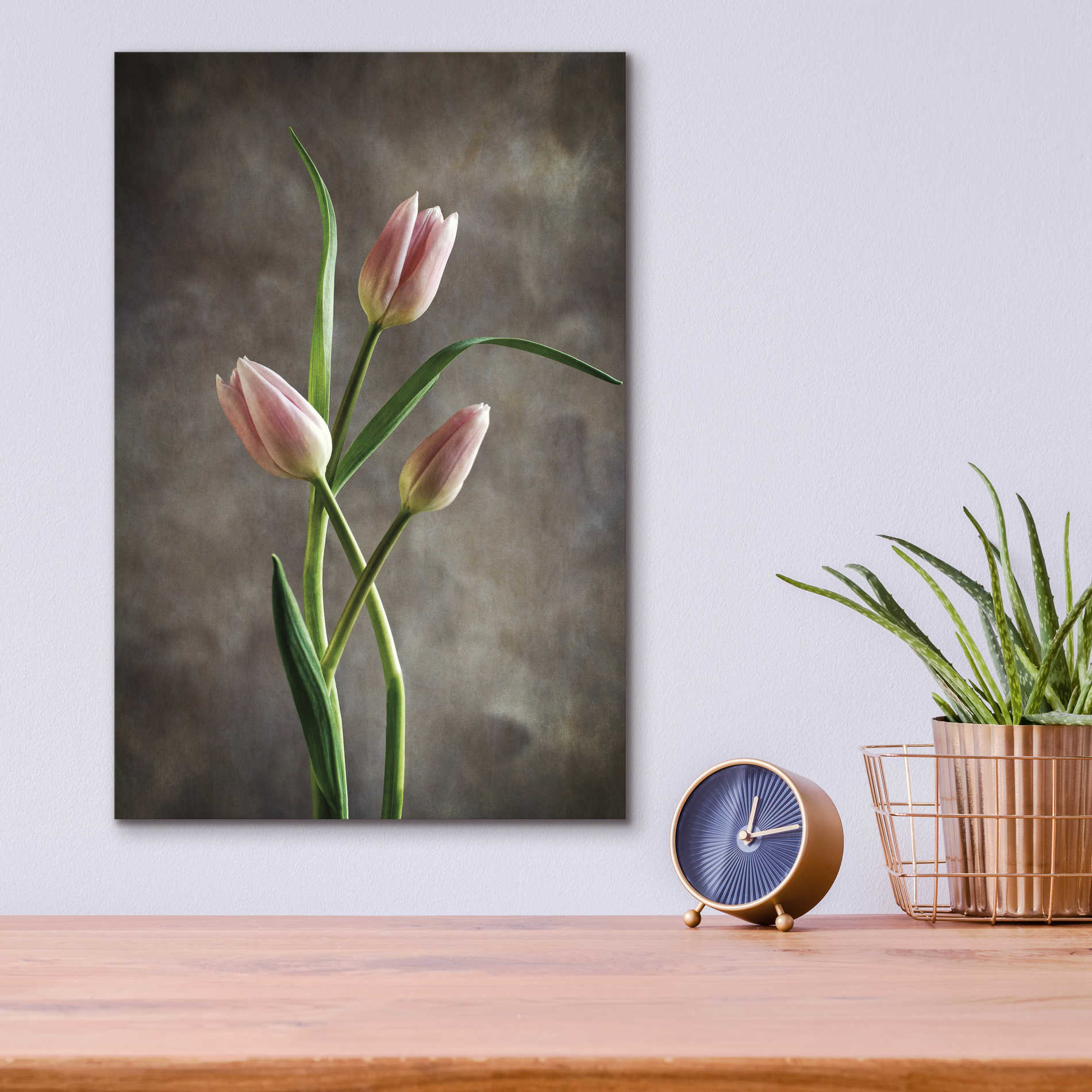 Epic Art 'Spring Tulips VII' by Debra Van Swearingen, Acrylic Glass Wall Art,12x16