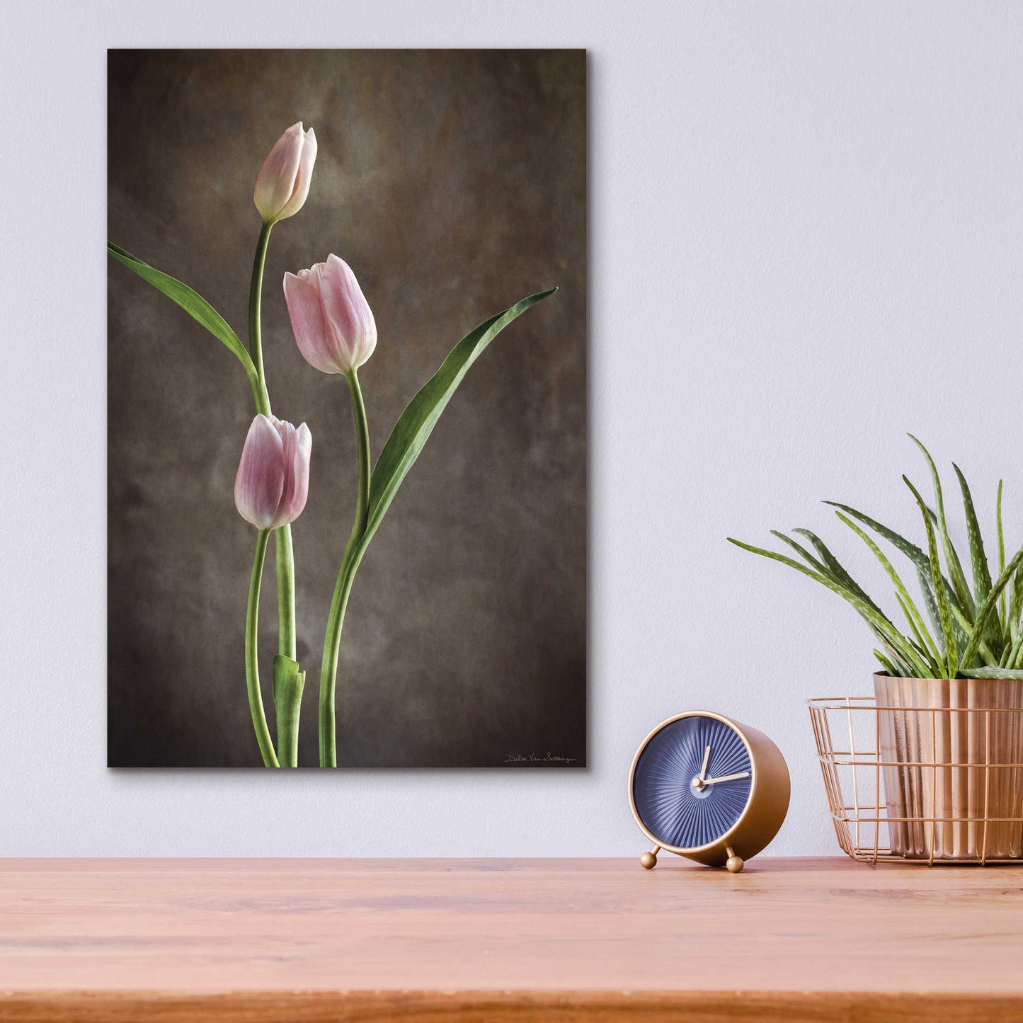 Epic Art 'Spring Tulips VIII' by Debra Van Swearingen, Acrylic Glass Wall Art,12x16