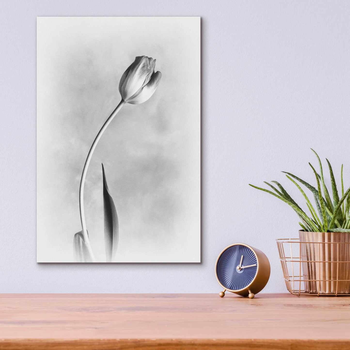Epic Art 'Soft Tulips I' by Debra Van Swearingen, Acrylic Glass Wall Art,12x16