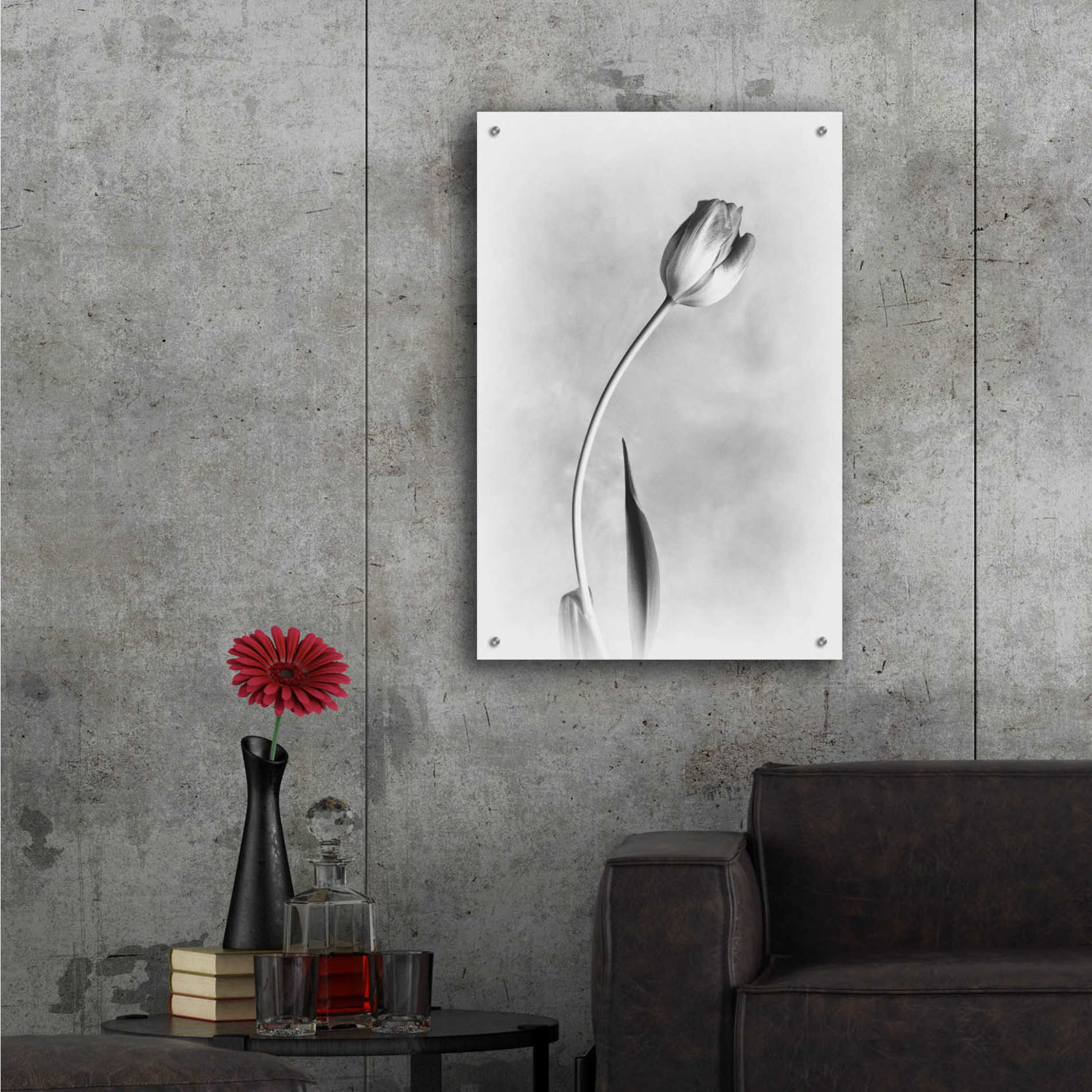 Epic Art 'Soft Tulips I' by Debra Van Swearingen, Acrylic Glass Wall Art,24x36