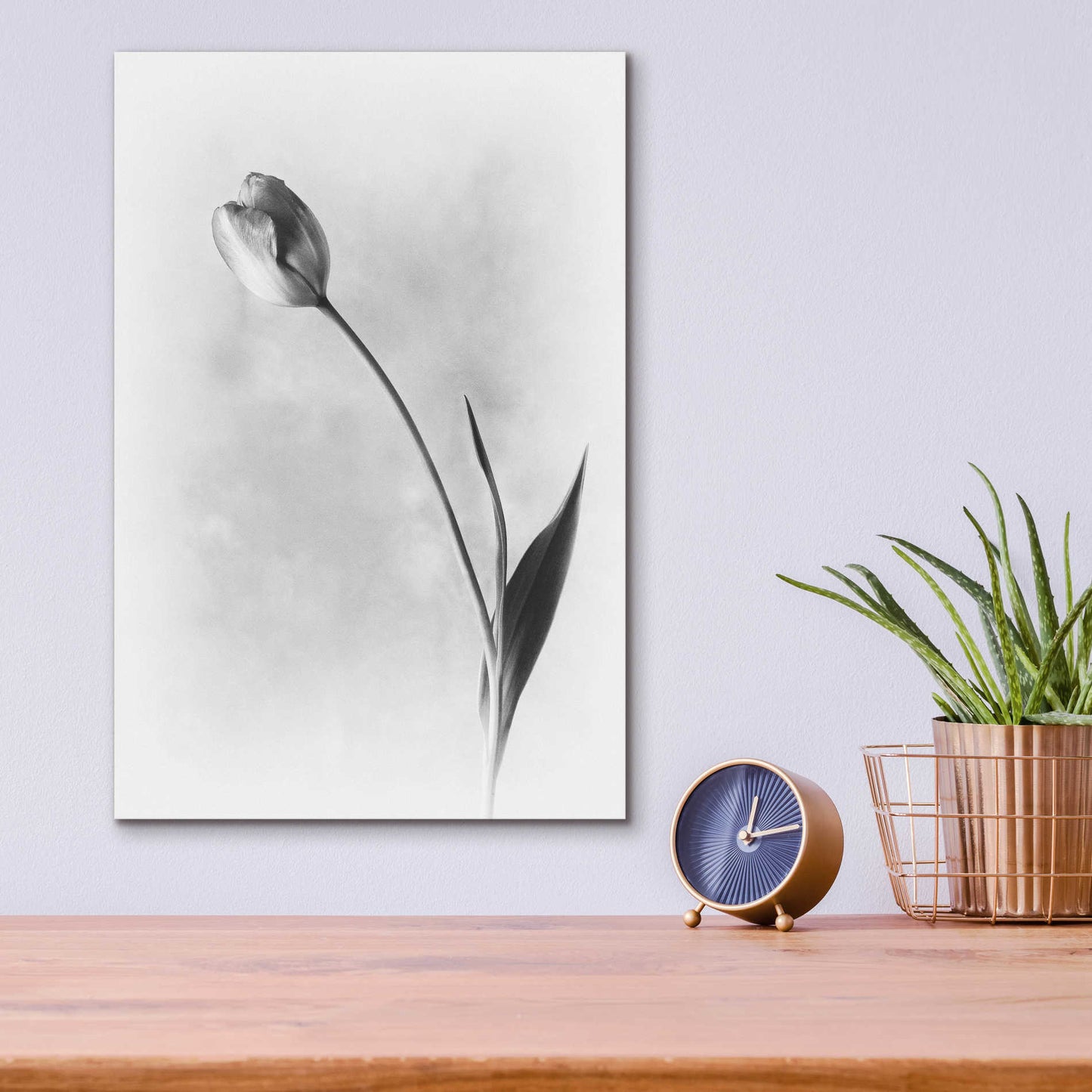 Epic Art 'Soft Tulips II' by Debra Van Swearingen, Acrylic Glass Wall Art,12x16