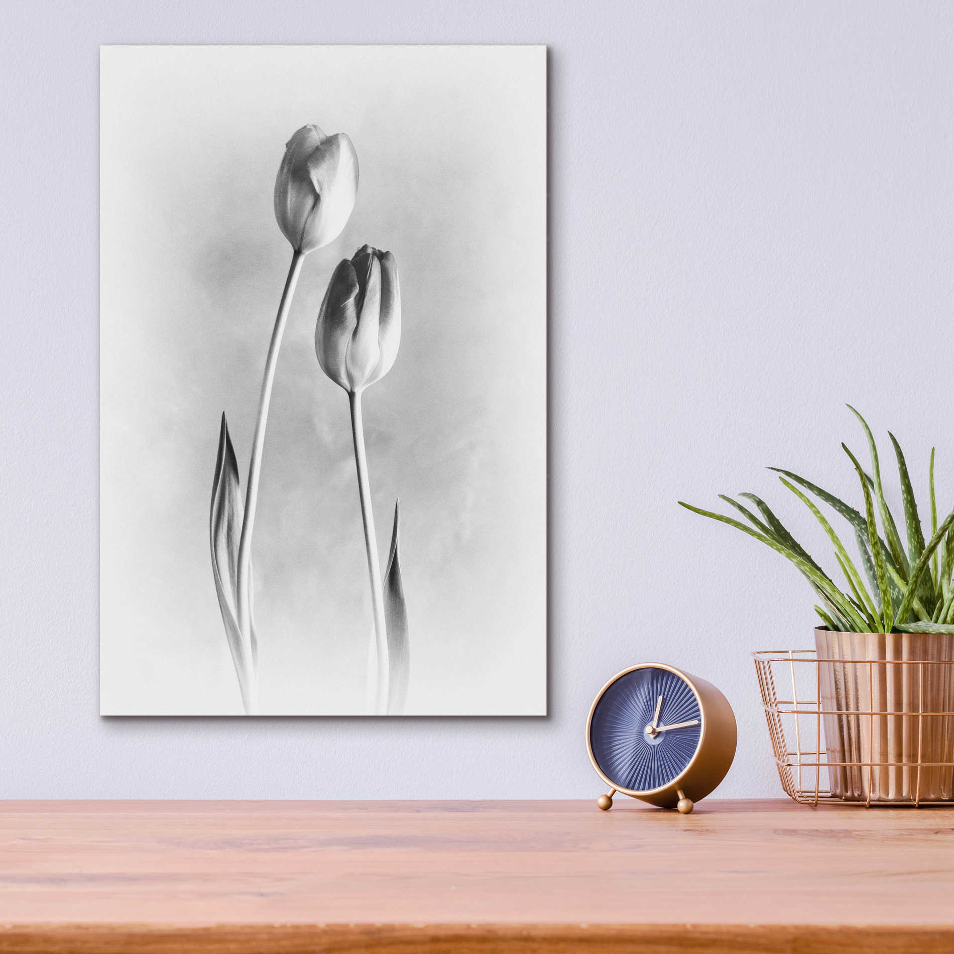 Epic Art 'Soft Tulips III' by Debra Van Swearingen, Acrylic Glass Wall Art,12x16