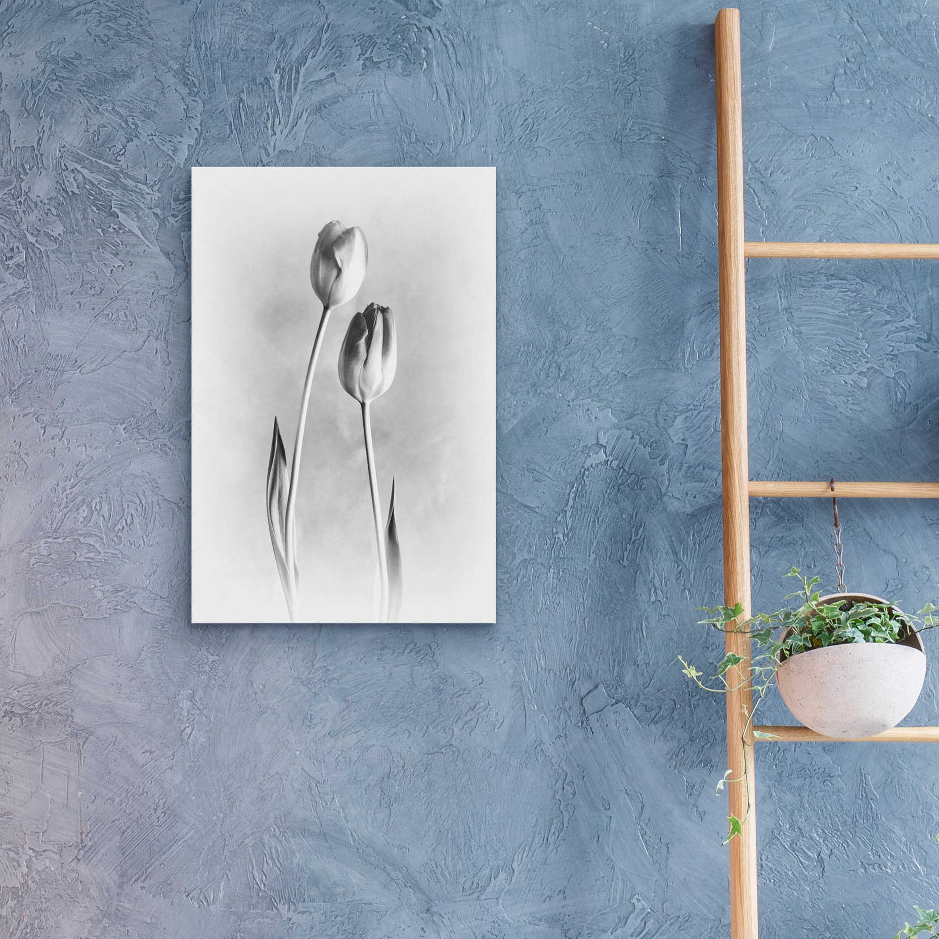 Epic Art 'Soft Tulips III' by Debra Van Swearingen, Acrylic Glass Wall Art,16x24