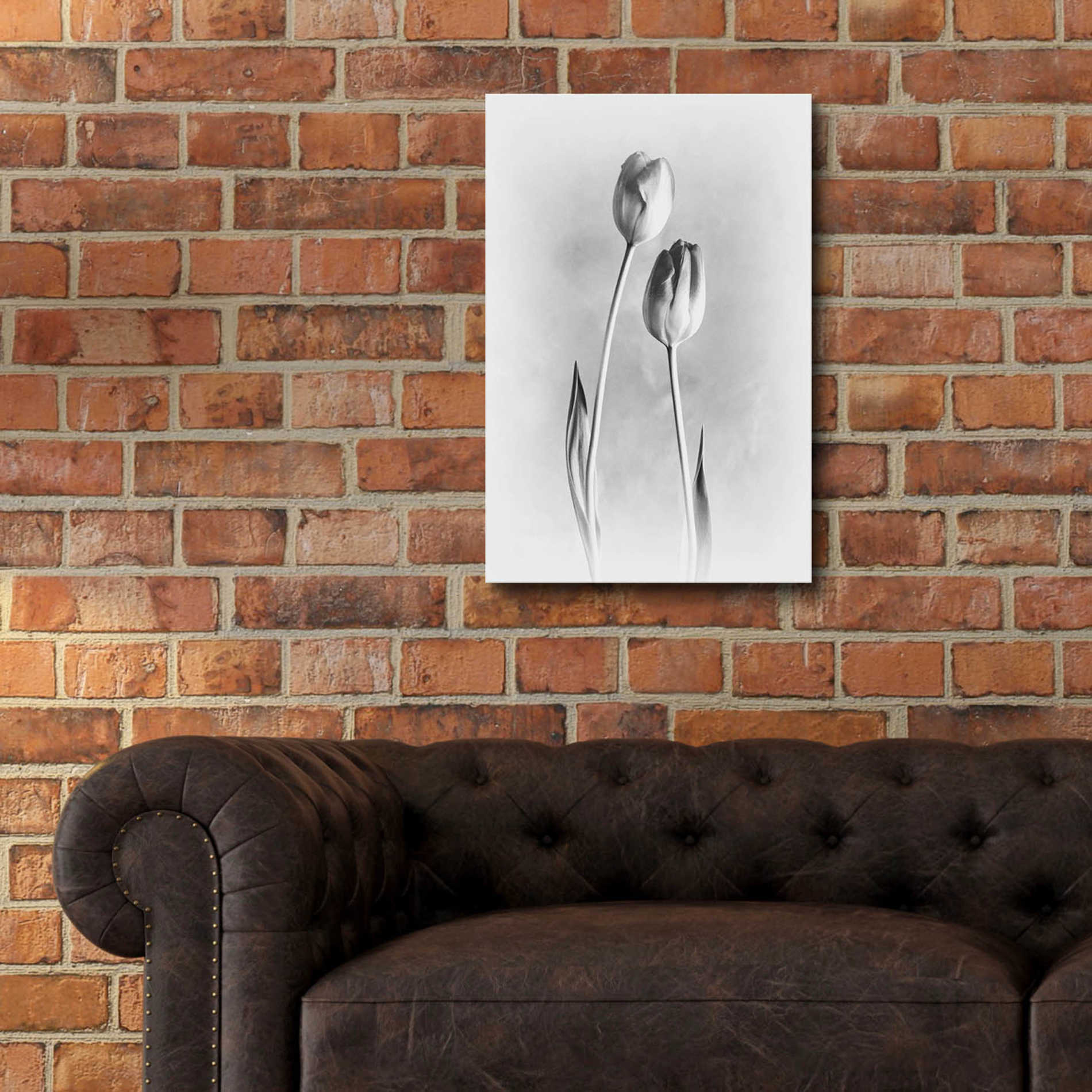Epic Art 'Soft Tulips III' by Debra Van Swearingen, Acrylic Glass Wall Art,16x24