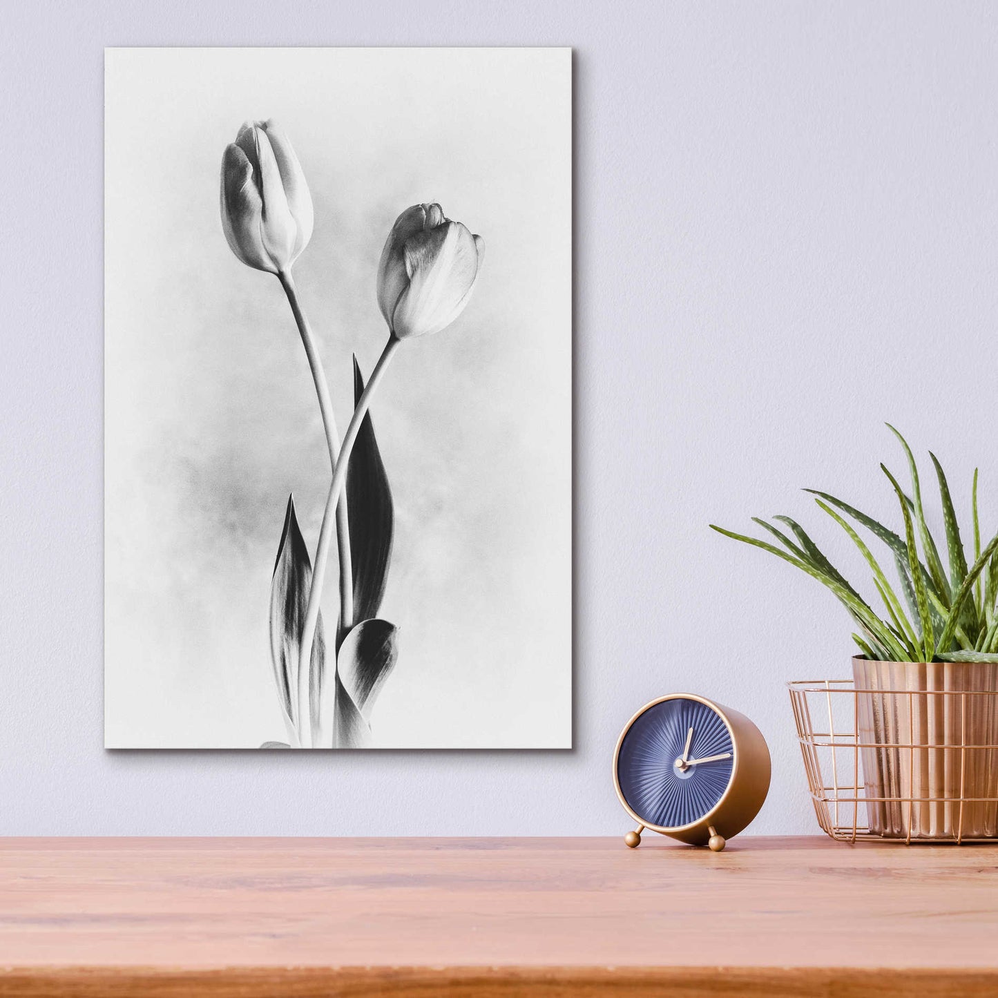 Epic Art 'Soft Tulips IV' by Debra Van Swearingen, Acrylic Glass Wall Art,12x16