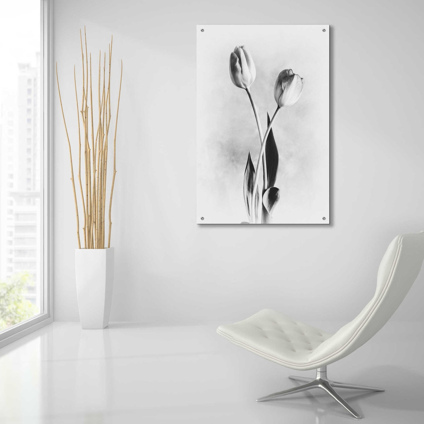 Epic Art 'Soft Tulips IV' by Debra Van Swearingen, Acrylic Glass Wall Art,24x36