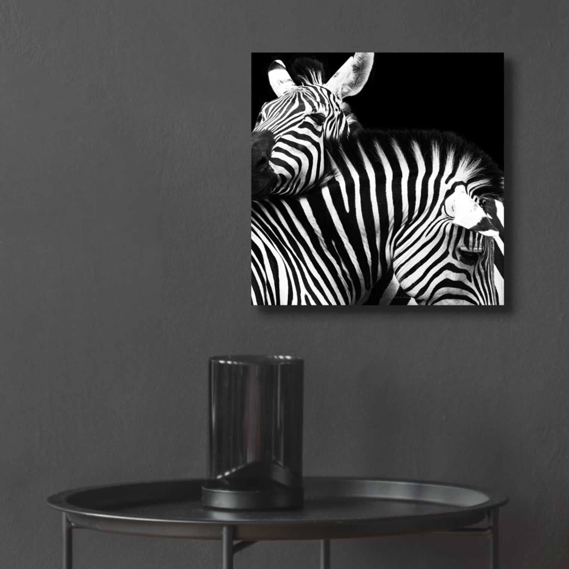 Epic Art 'Zebra VI' by Debra Van Swearingen, Acrylic Glass Wall Art,12x12