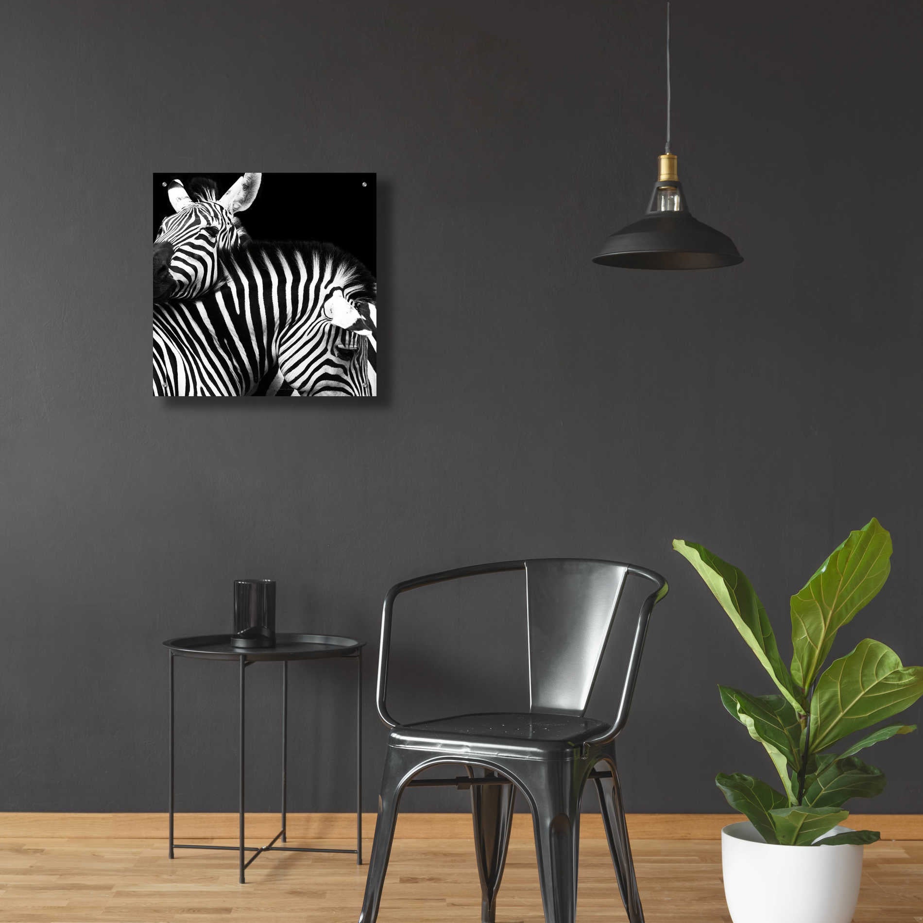 Epic Art 'Zebra VI' by Debra Van Swearingen, Acrylic Glass Wall Art,24x24